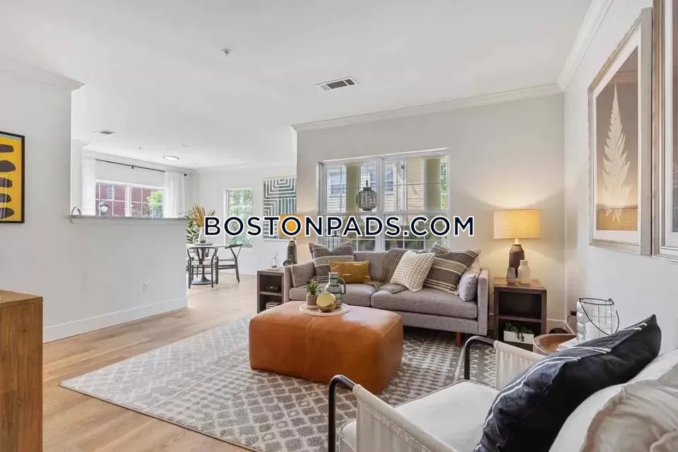 Sofi at Salem Station Photo 14