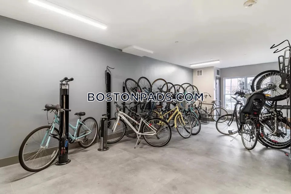 Sofi at Salem Station Photo 24