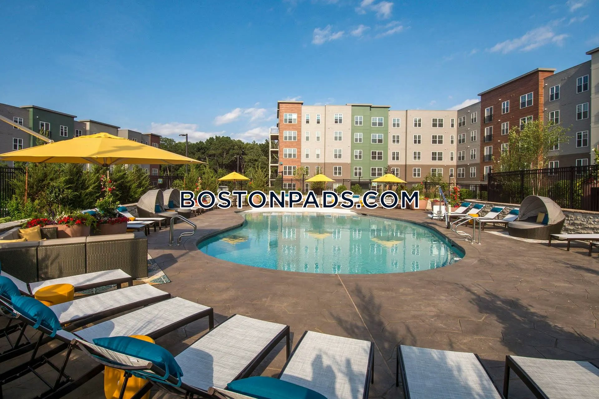 Alta Clara at the Fells Photo 3