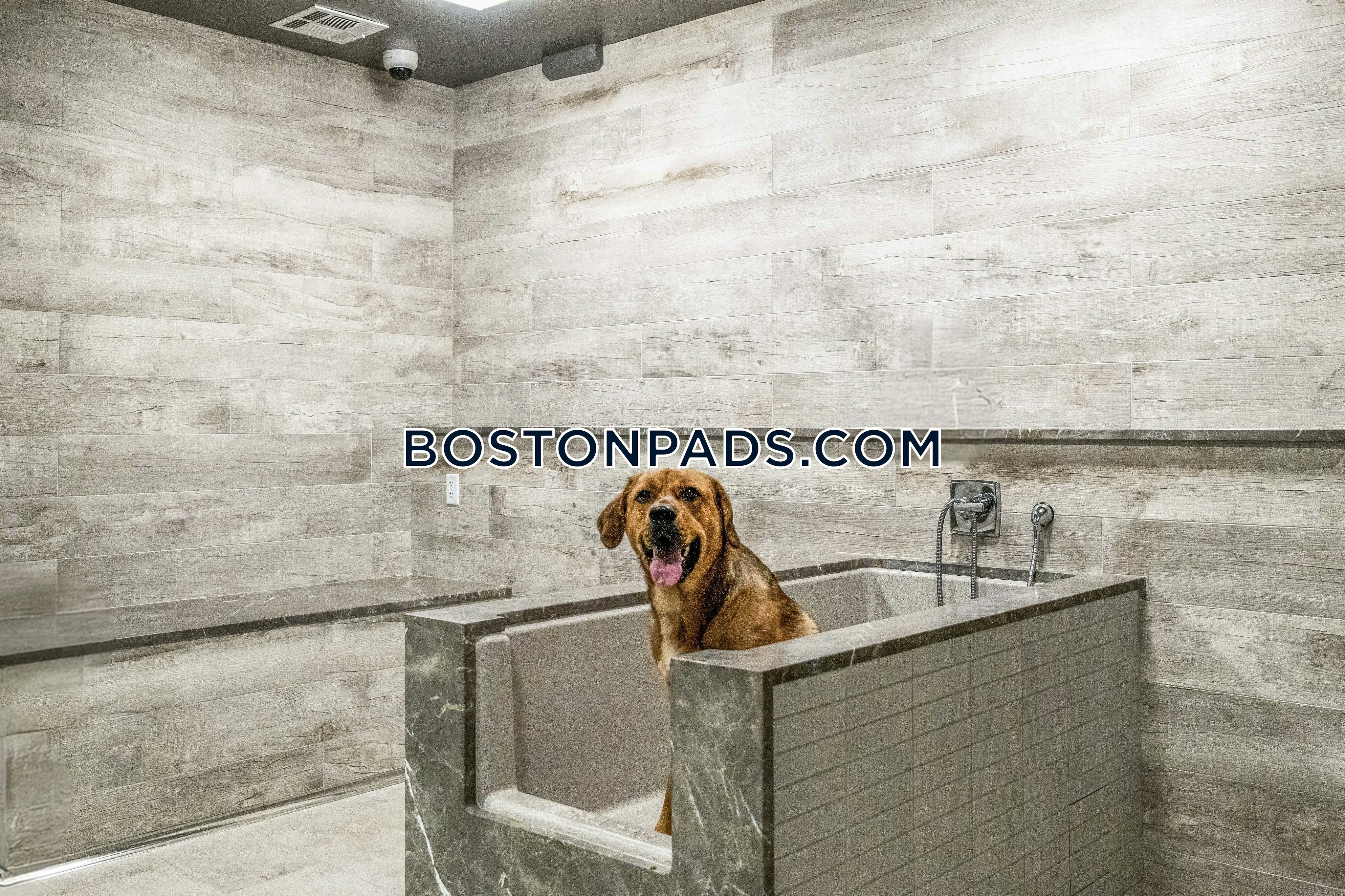 Hanover Stoneham Photo 22