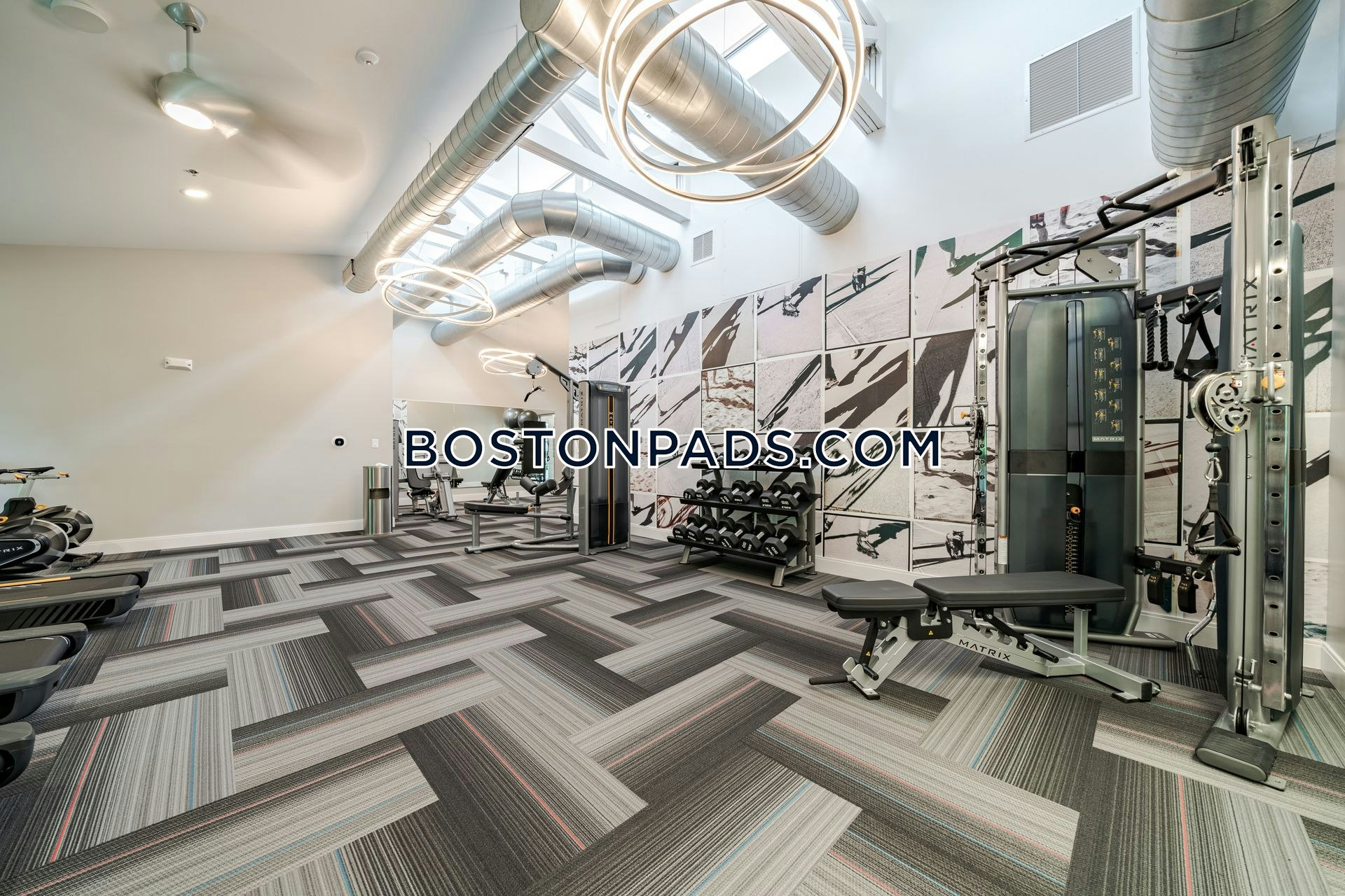 Aster at the Summit Photo 19