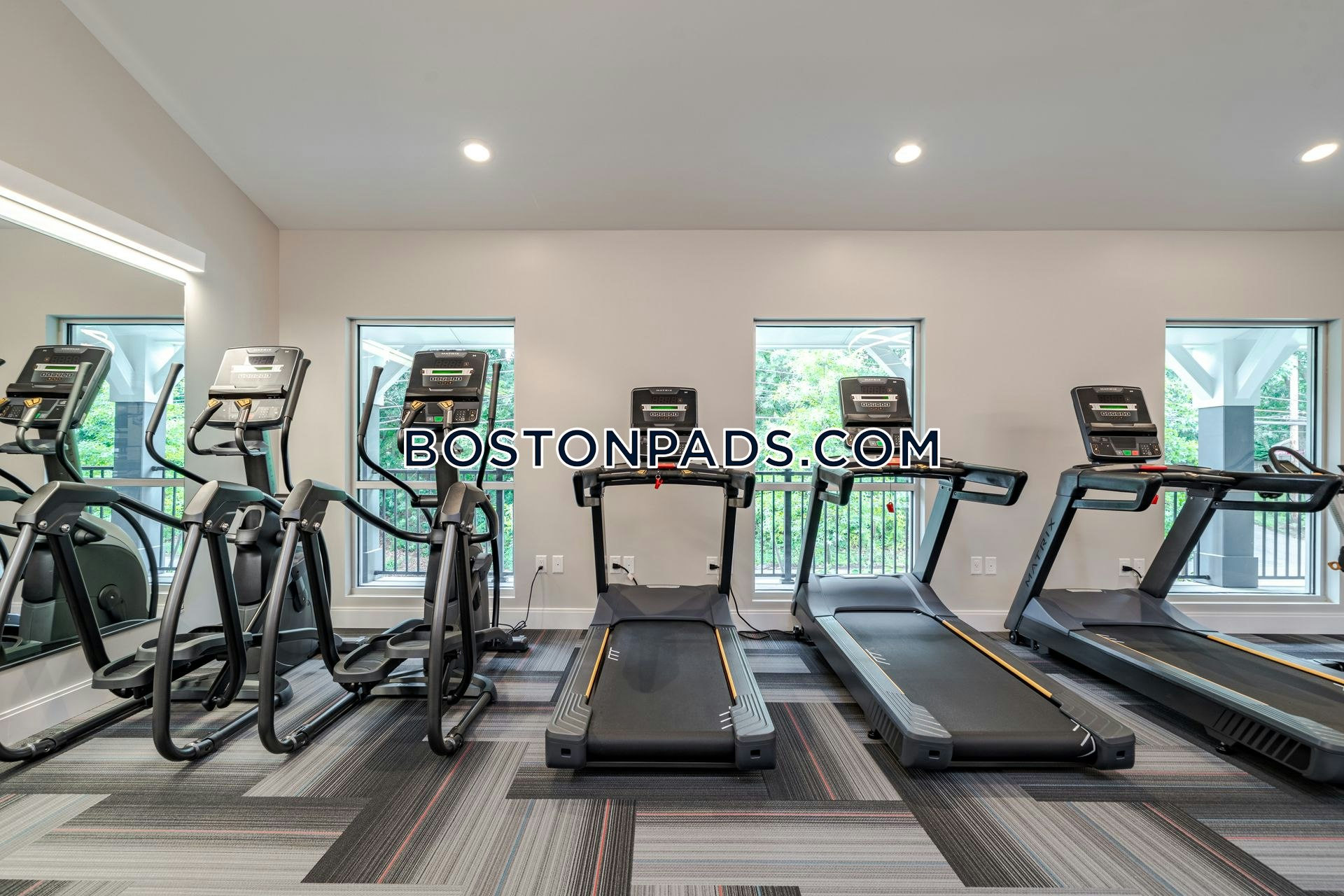 Aster at the Summit Photo 20