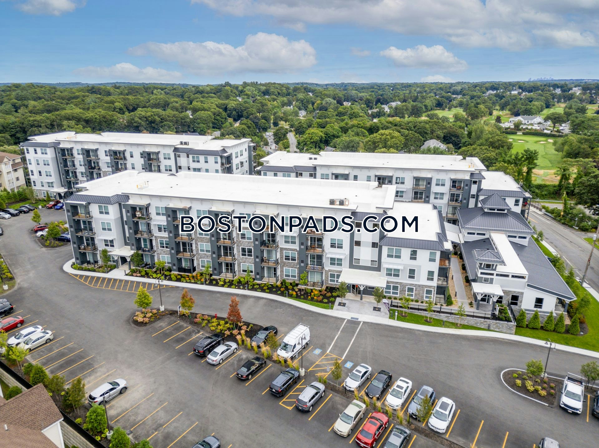 Aster at the Summit Photo 17