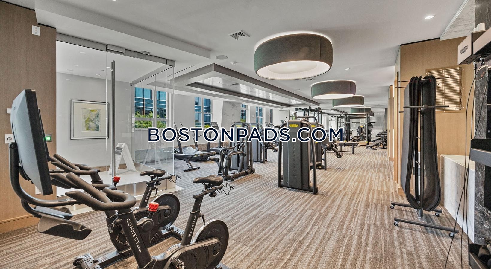 Urbane at Alewife Photo 4