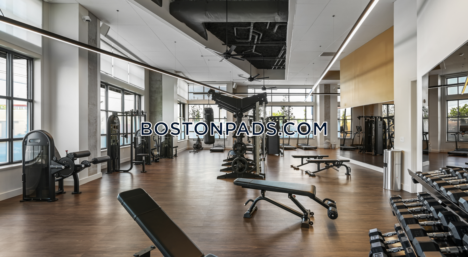 Anthem Everett Photo 9