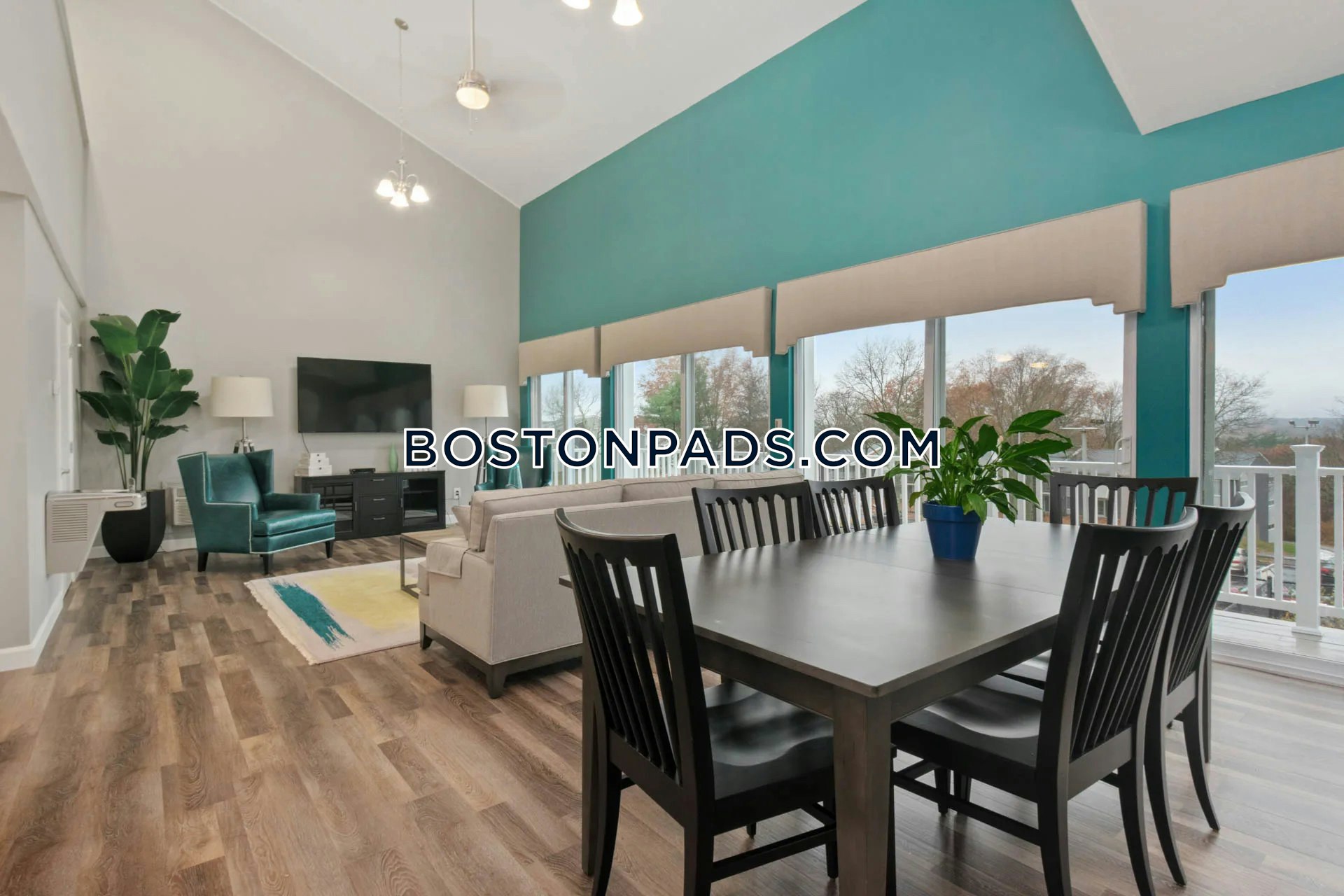 South Winds Photo 10