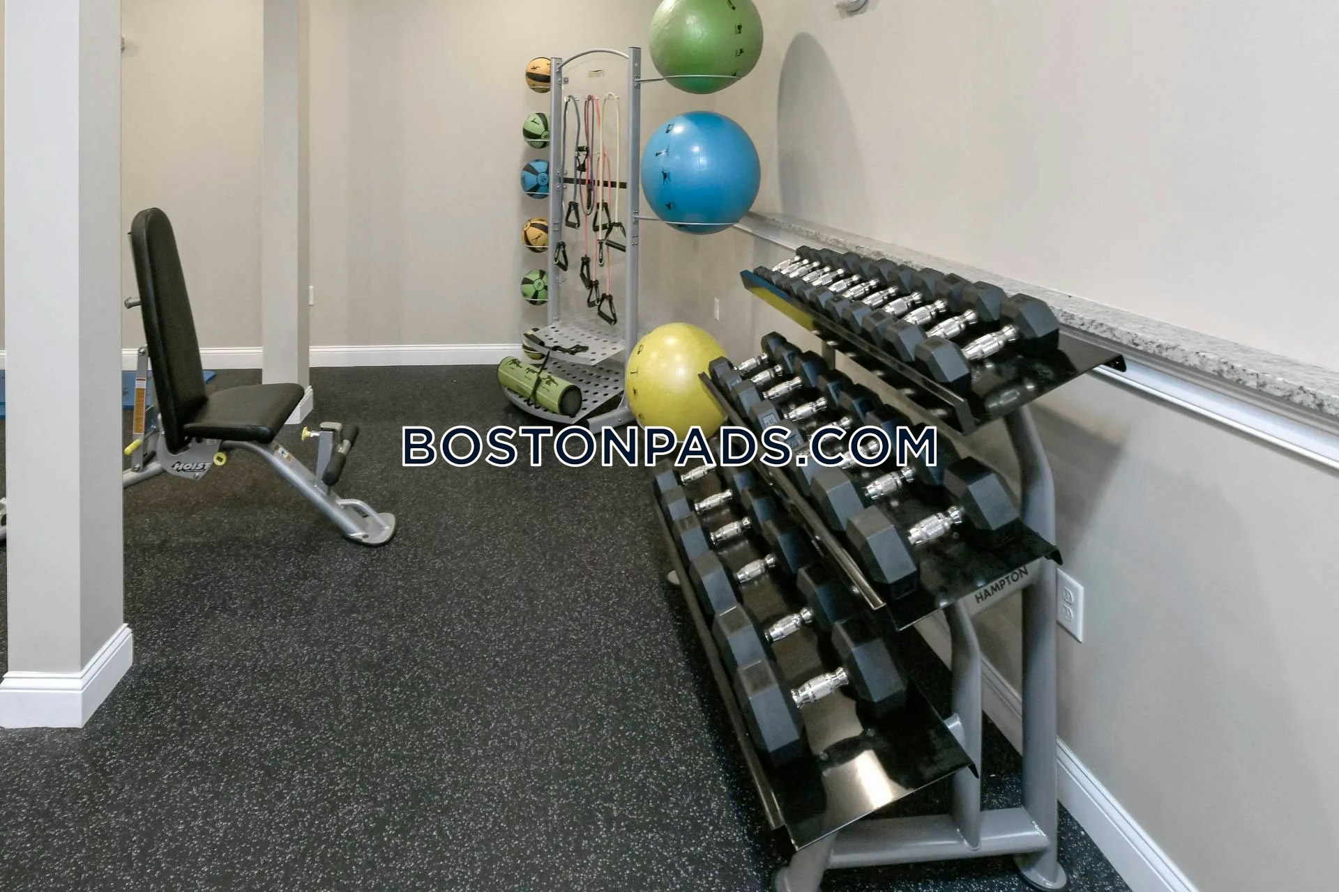 Webster Woods Photo 1