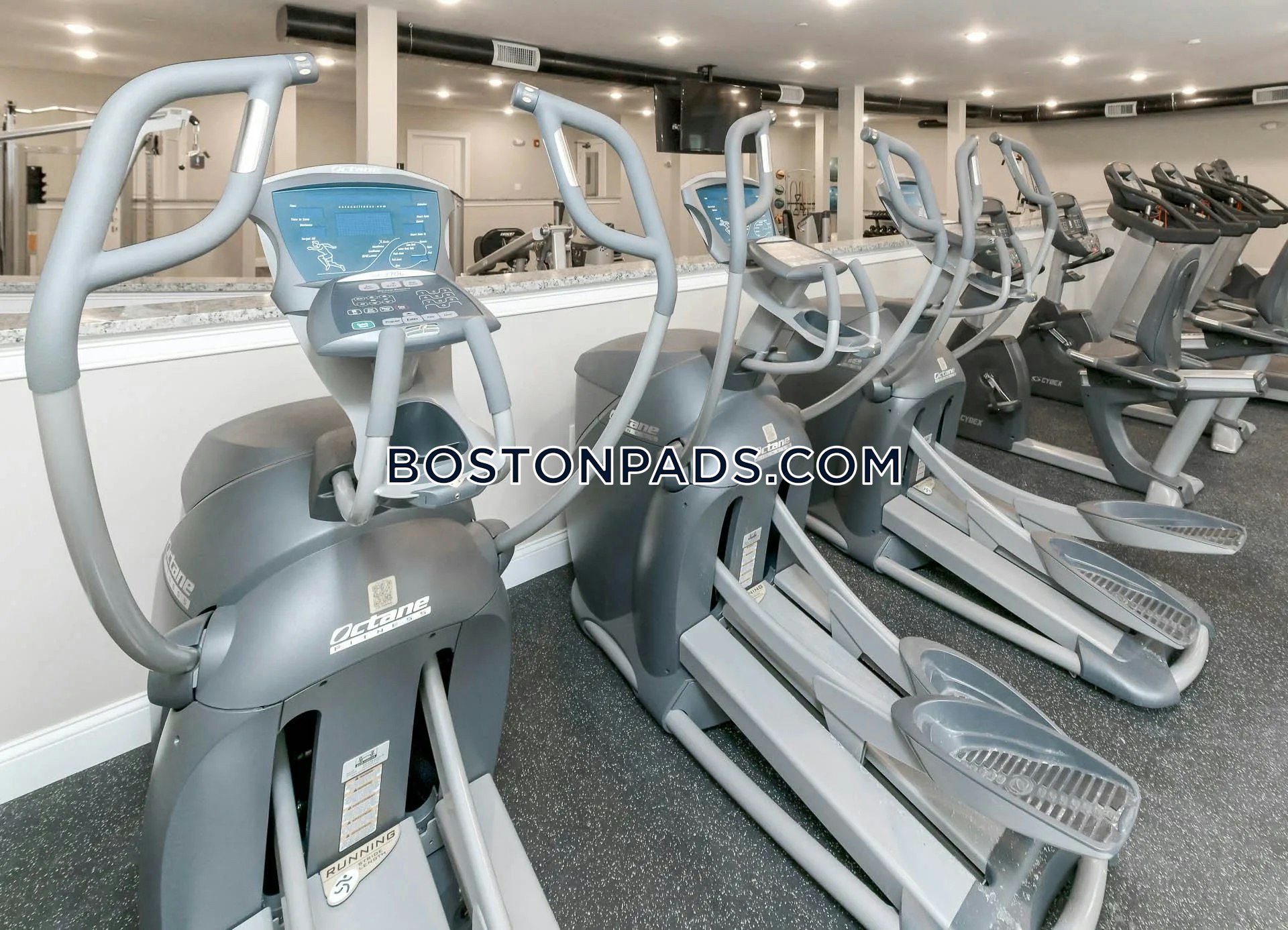 Webster Woods Photo 2