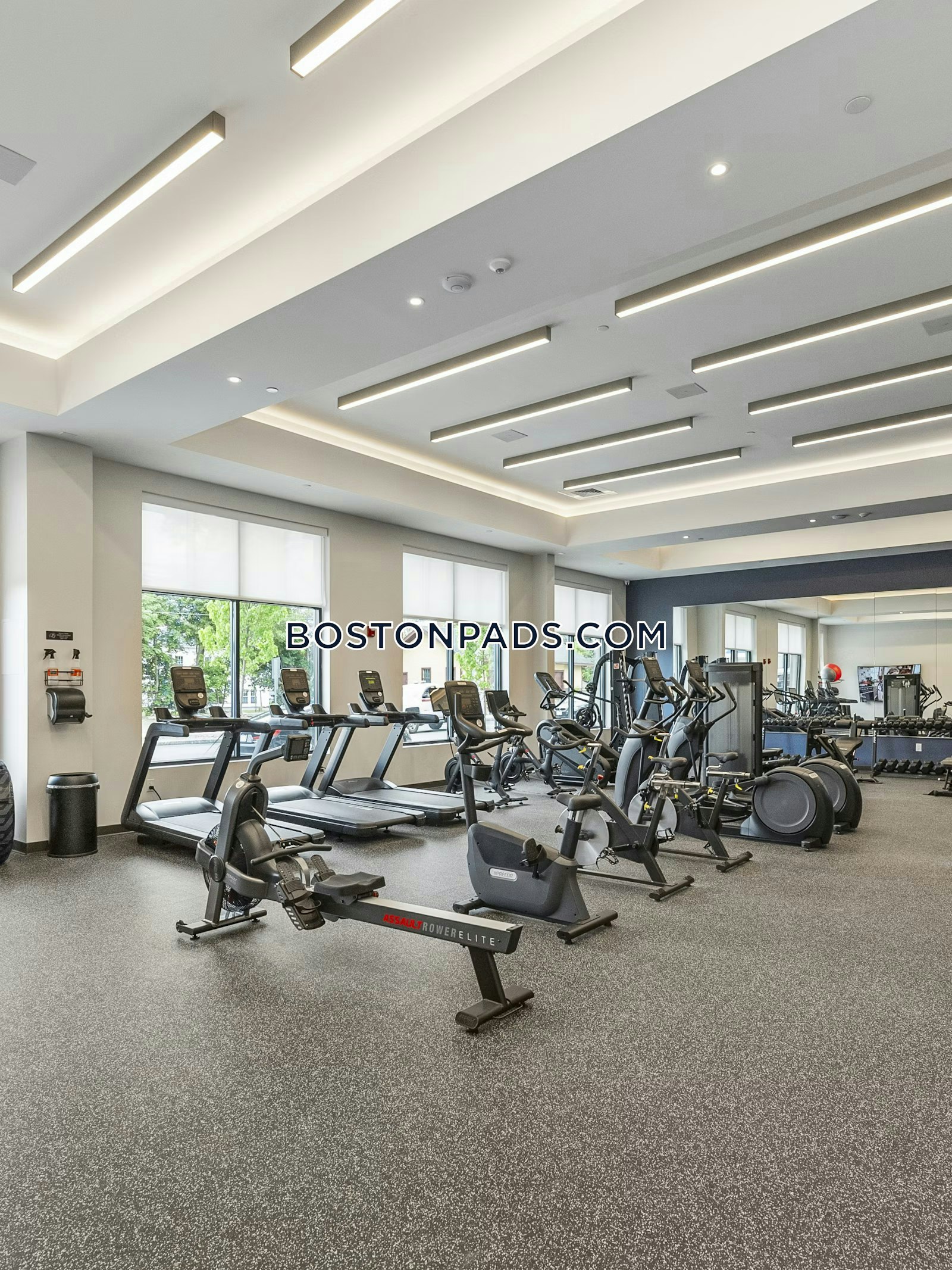 Maple Square Photo 17