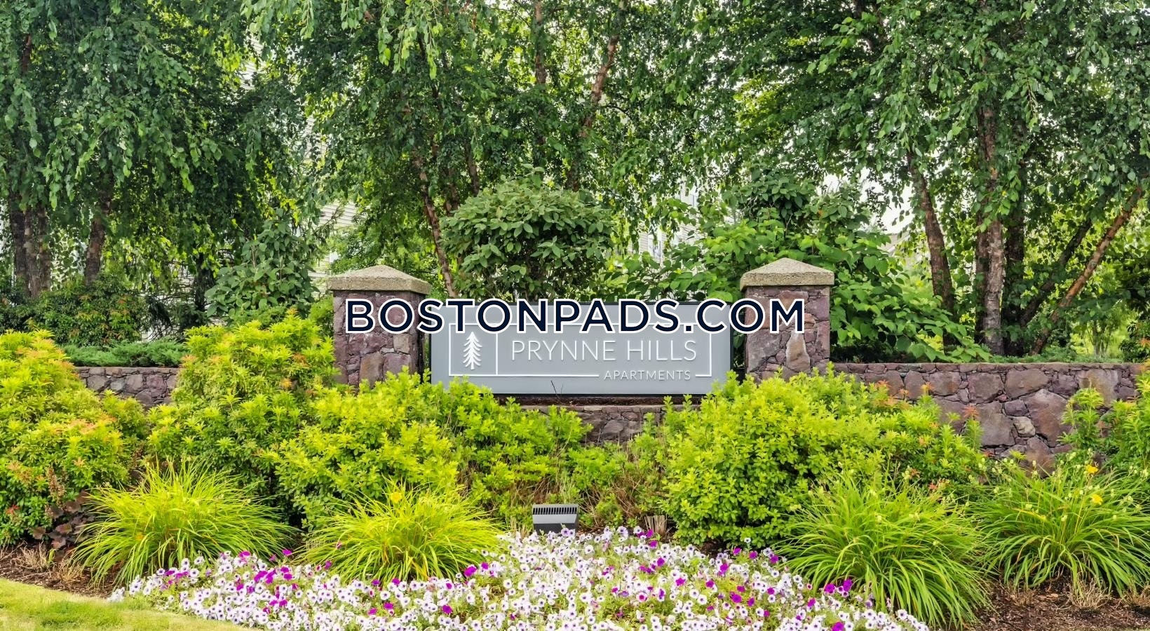 Prynne Hills Photo 23