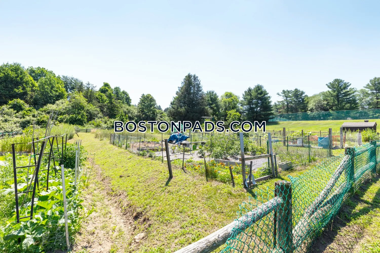 Waterford Village Photo 31