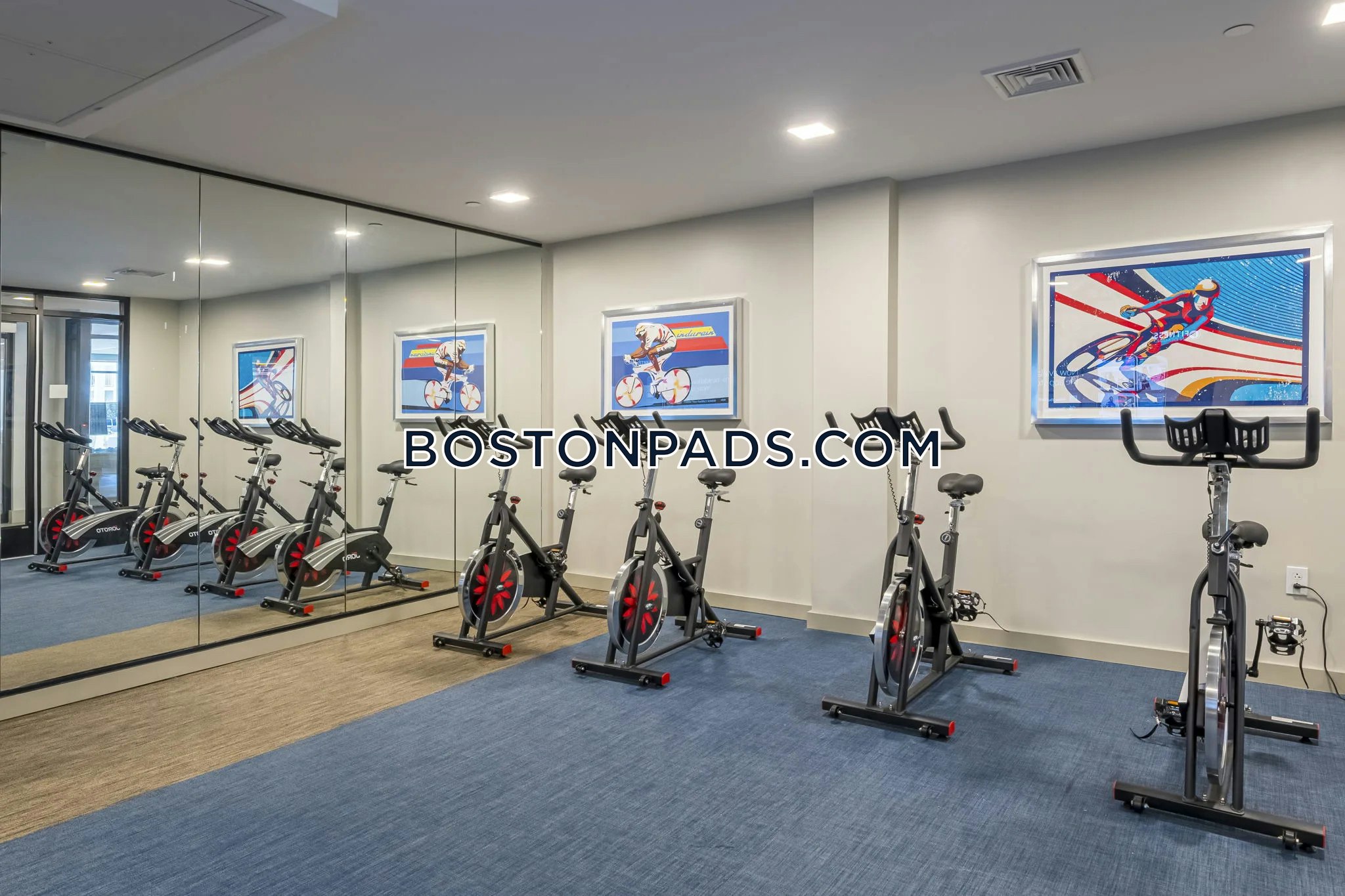 Viva Lakeshore Photo 1