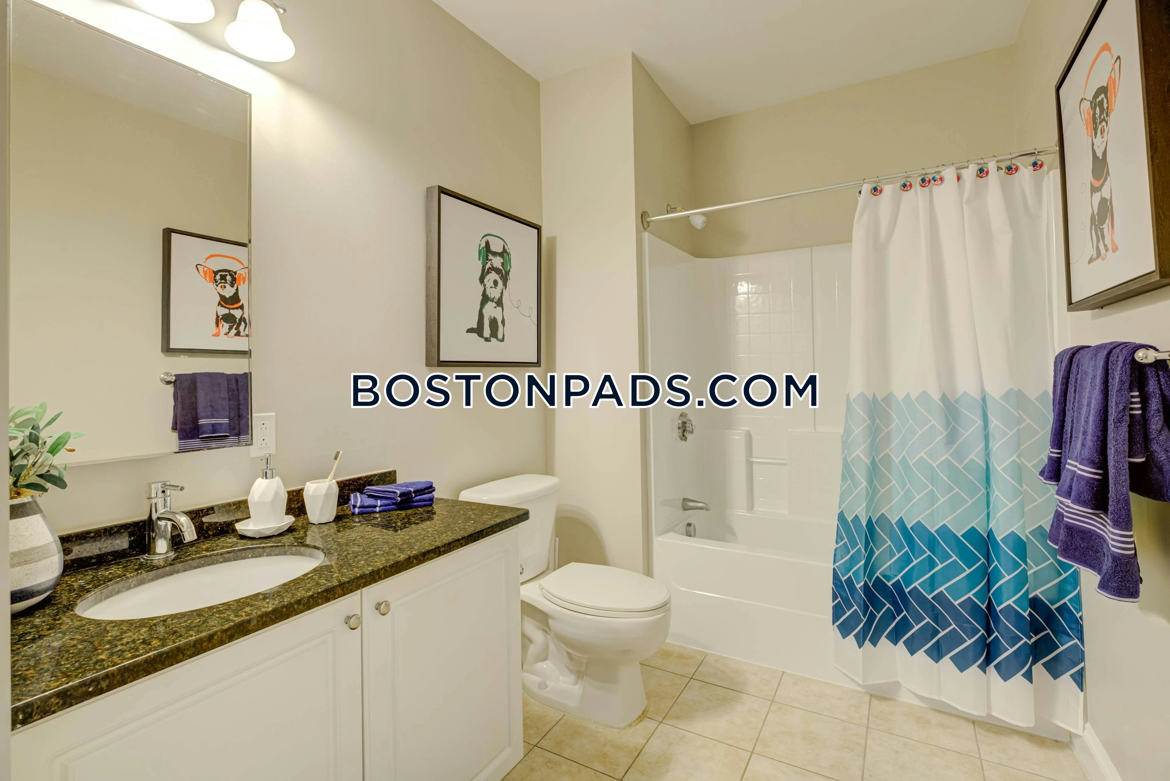 The Point at Abington Photo 17