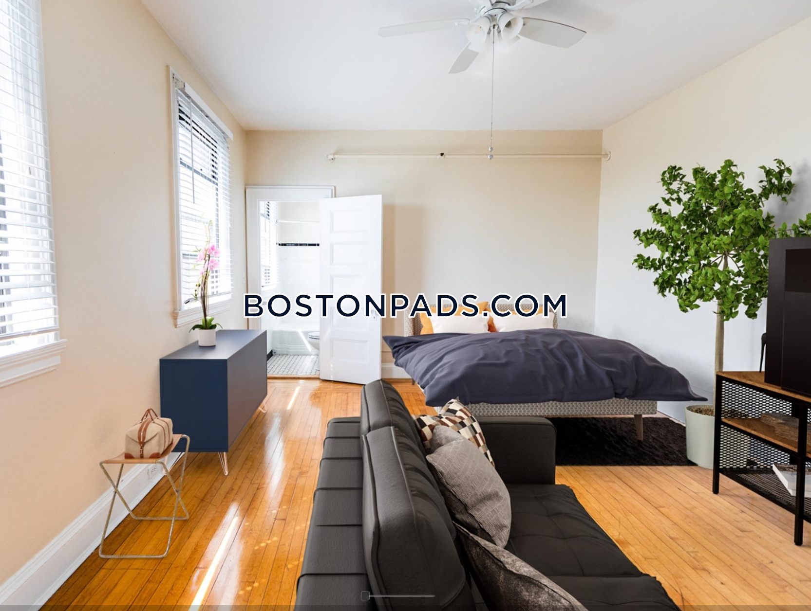 Princeton on Beacon St. Photo 44