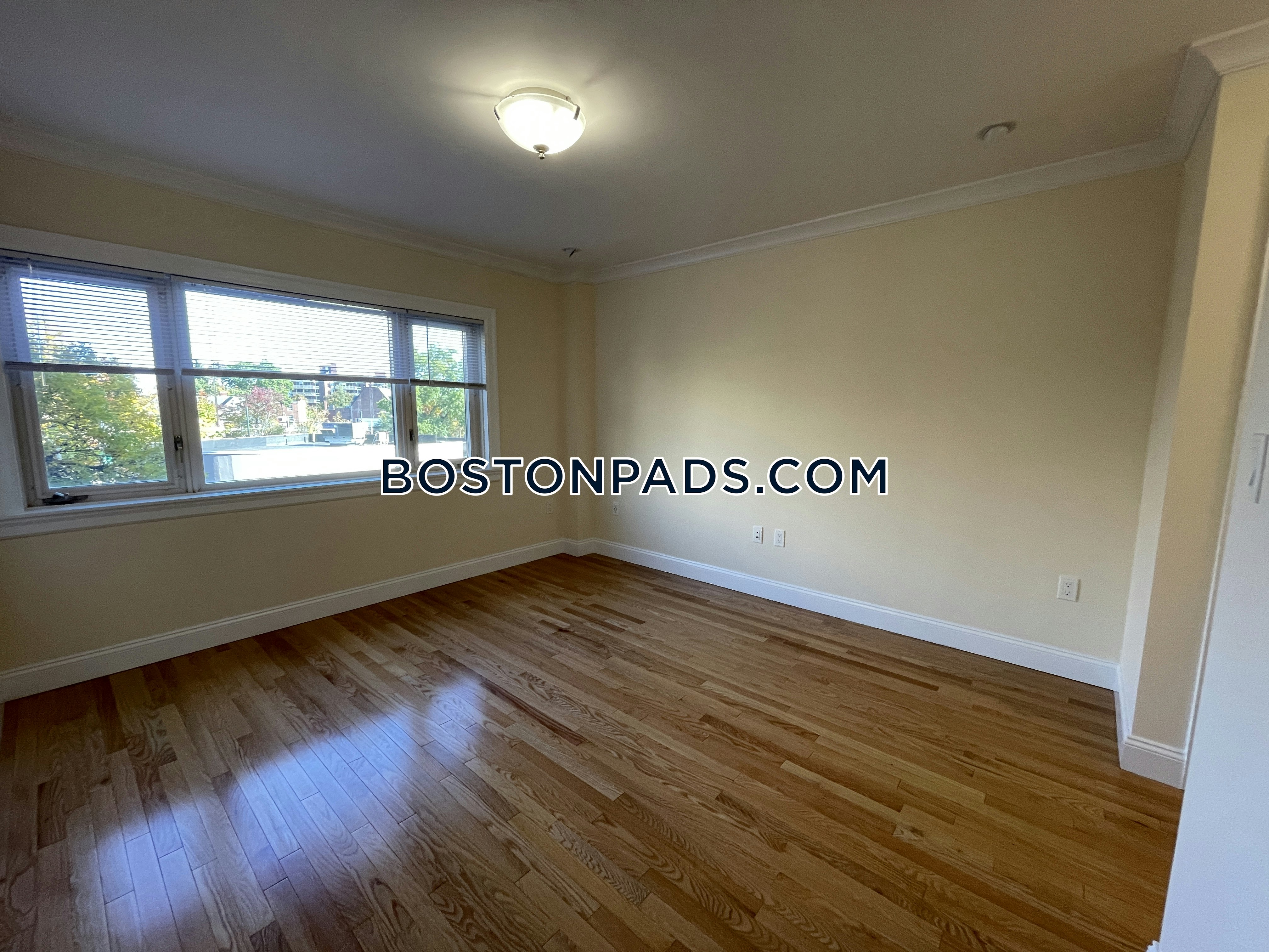 1443 Beacon Photo 32