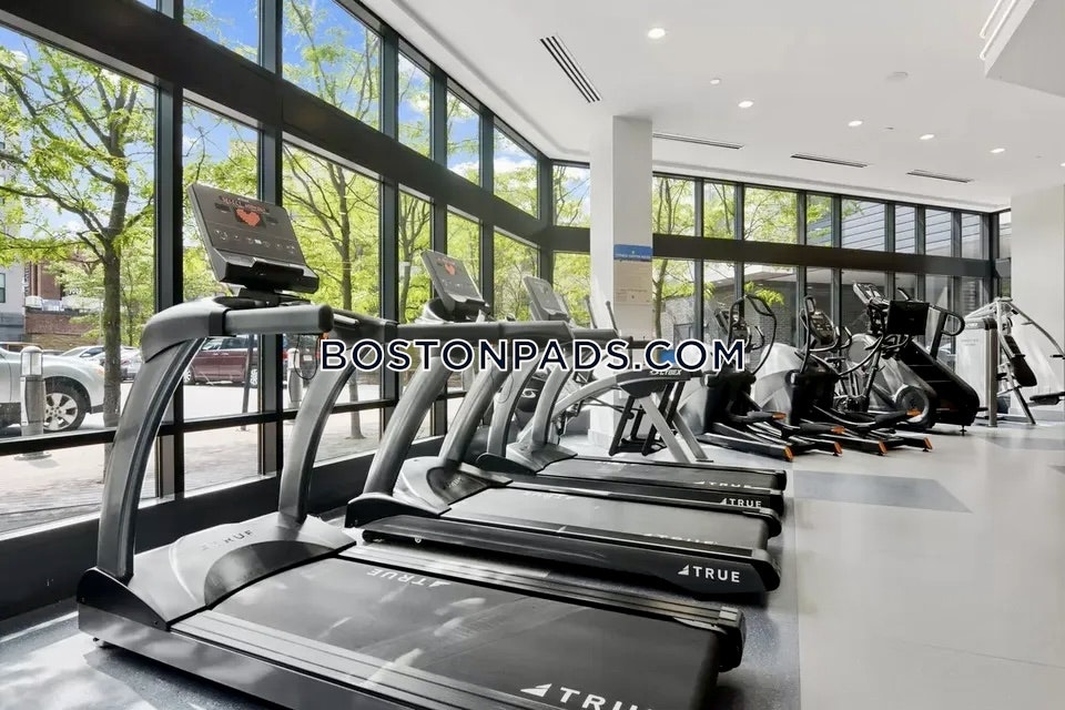 West of Chestnut Photo 3