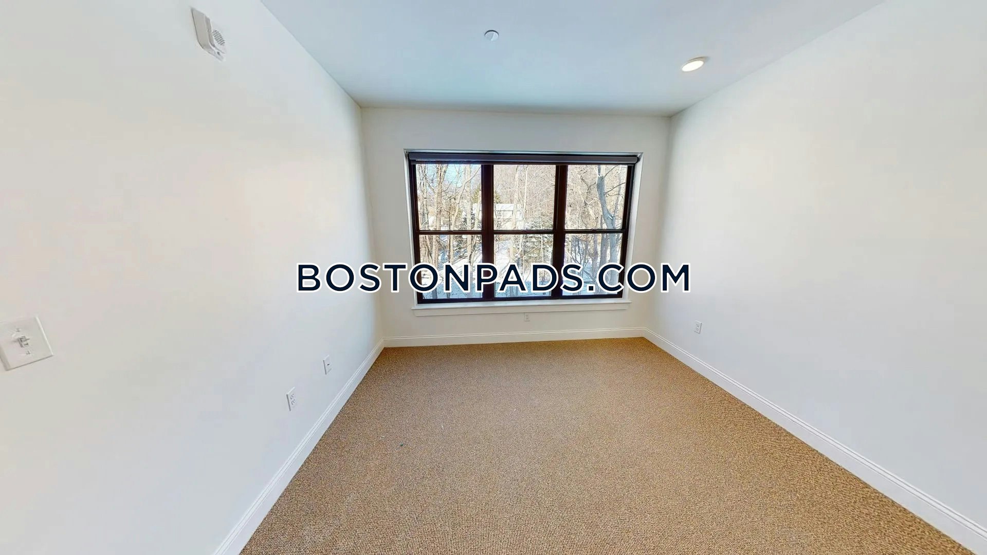 The Overlook Photo 14