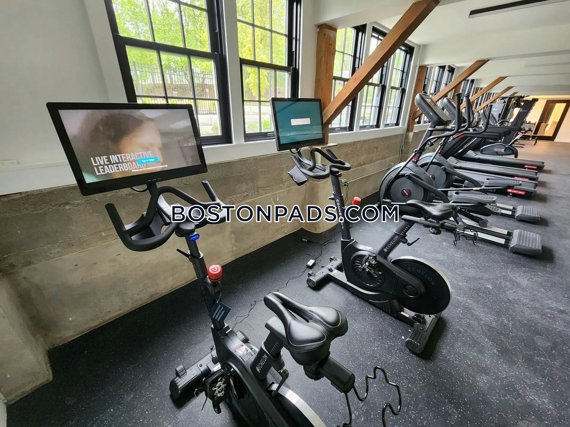 The Overlook Photo 7