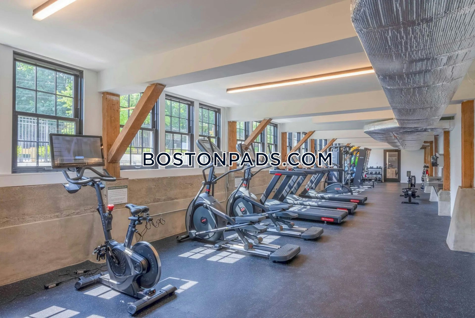 The Overlook Photo 35