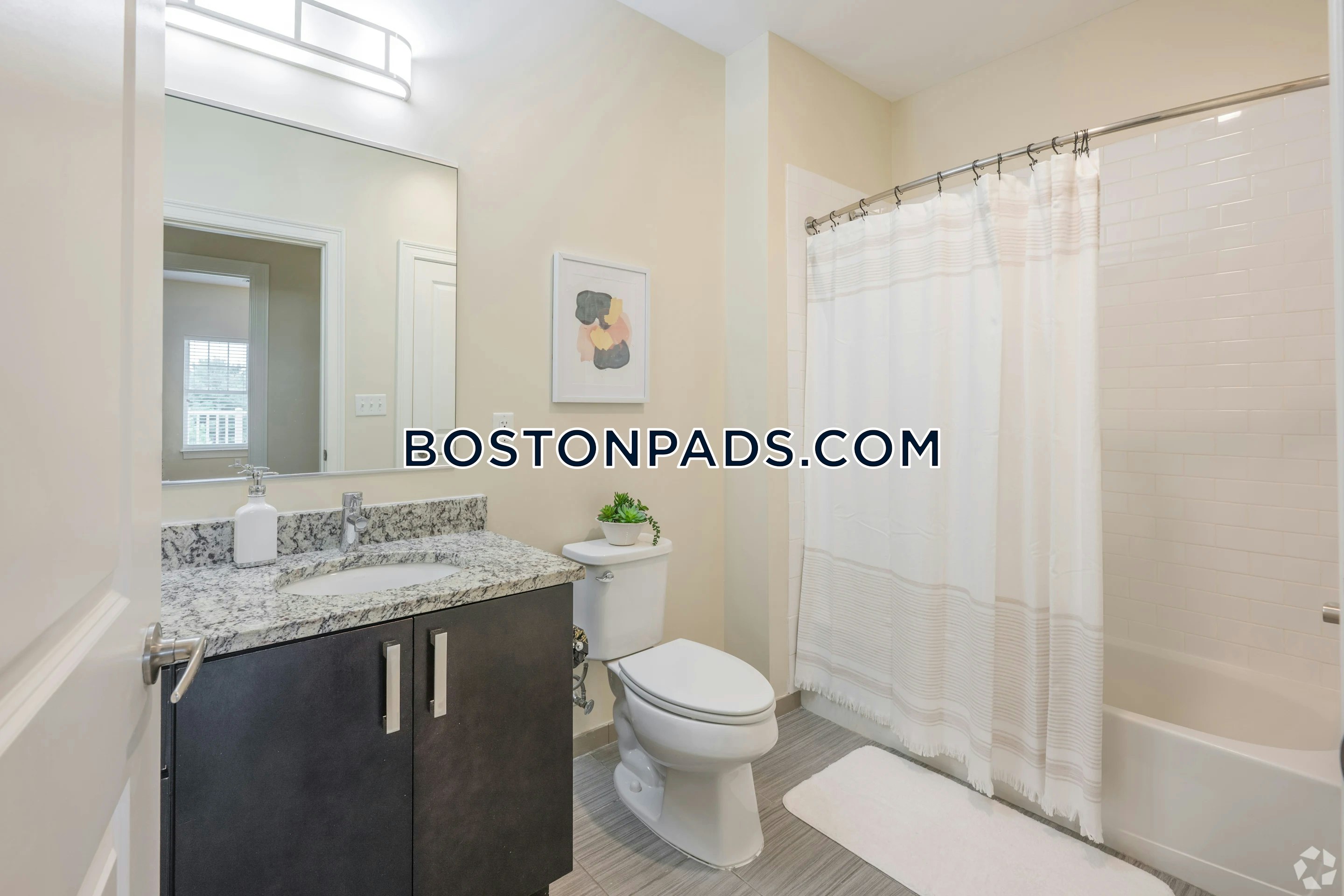 Axis at Lakeshore Photo 28