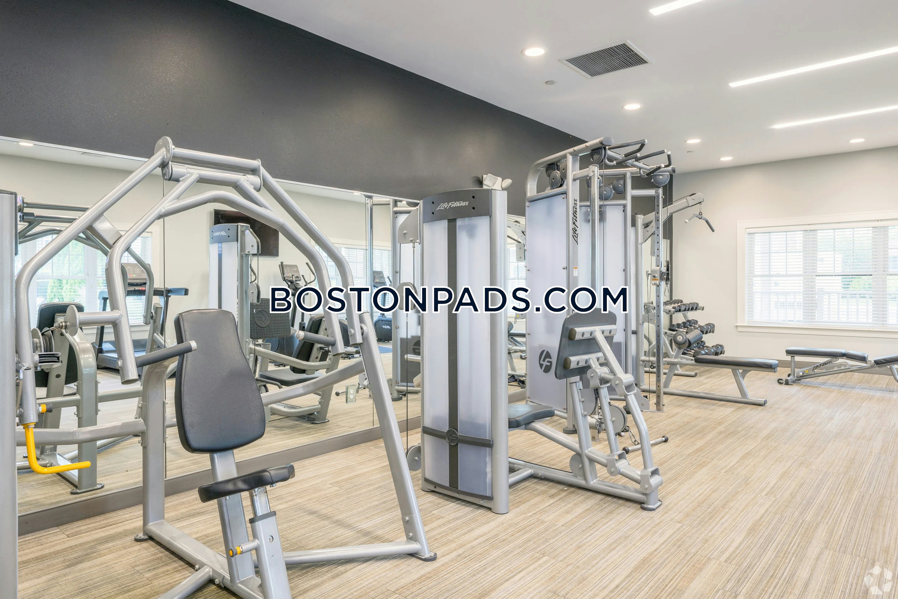 Axis at Lakeshore Photo 36