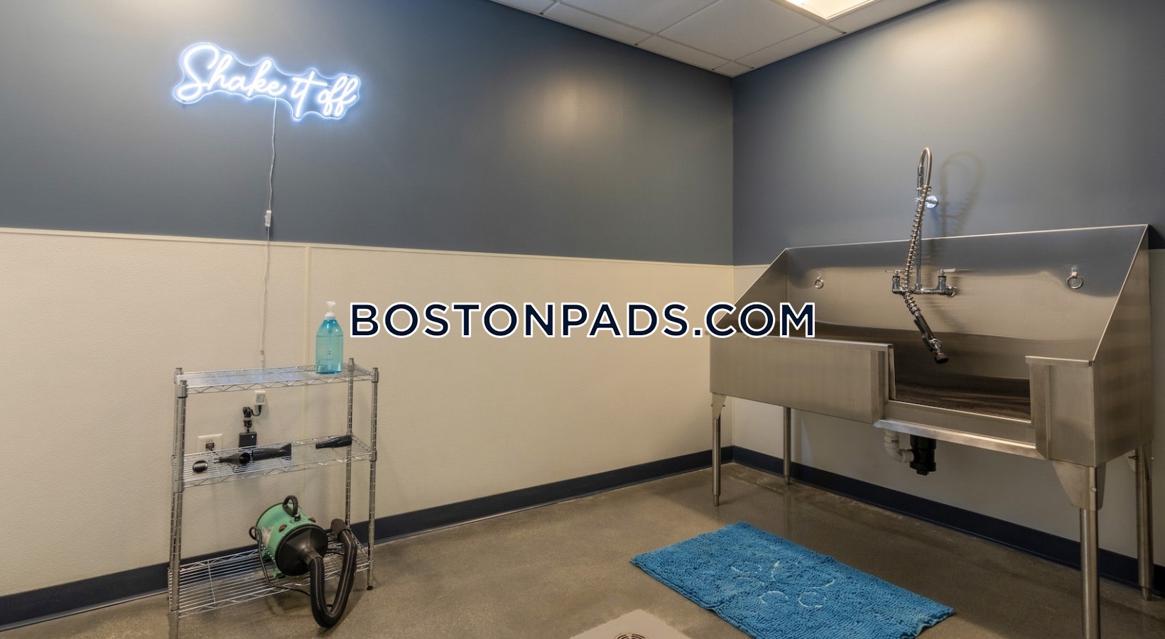 1550 On the Charles Photo 23