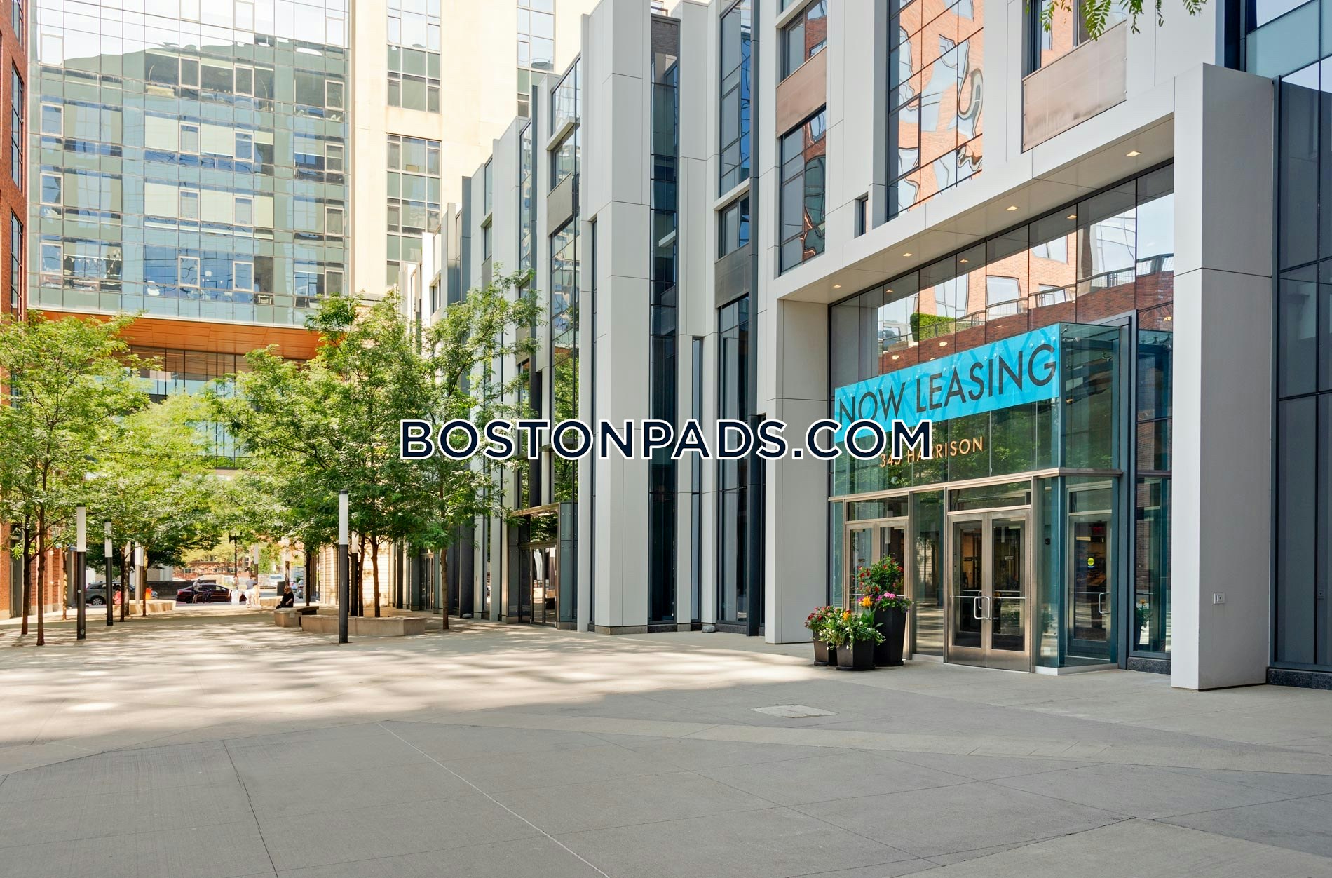 345 Harrison Photo 7