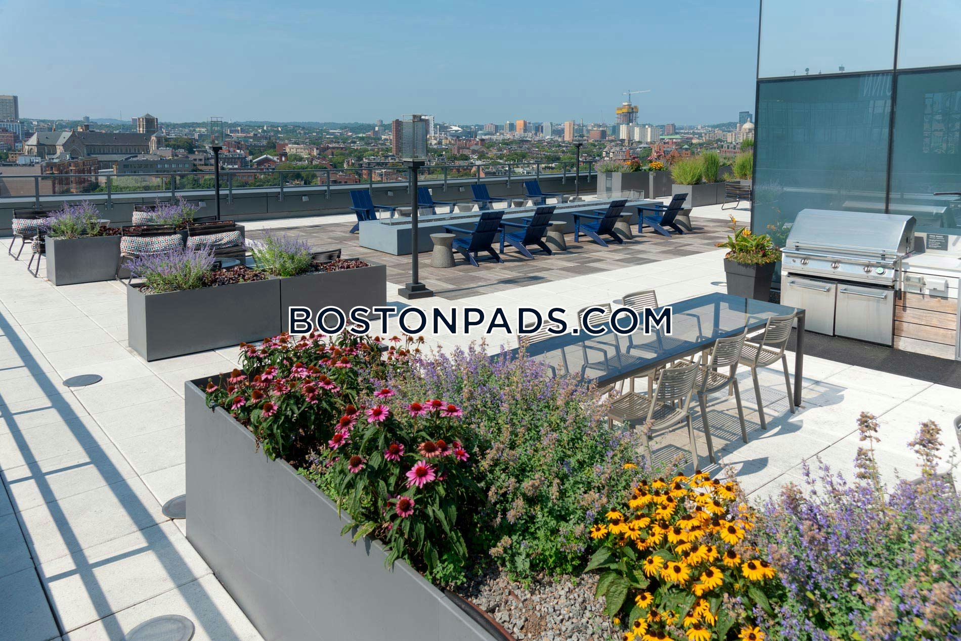 345 Harrison Photo 11