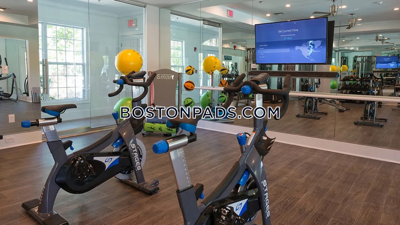 Alister Quincy Photo 5