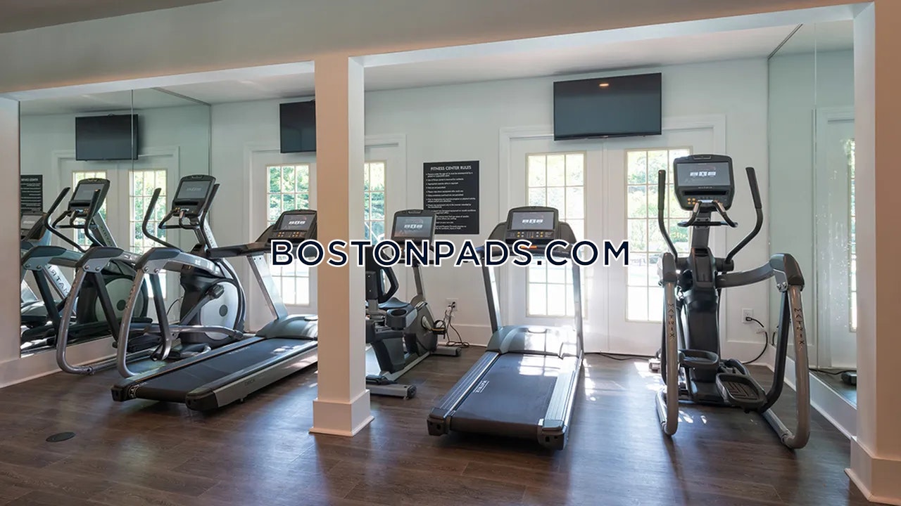 Alister Quincy Photo 24