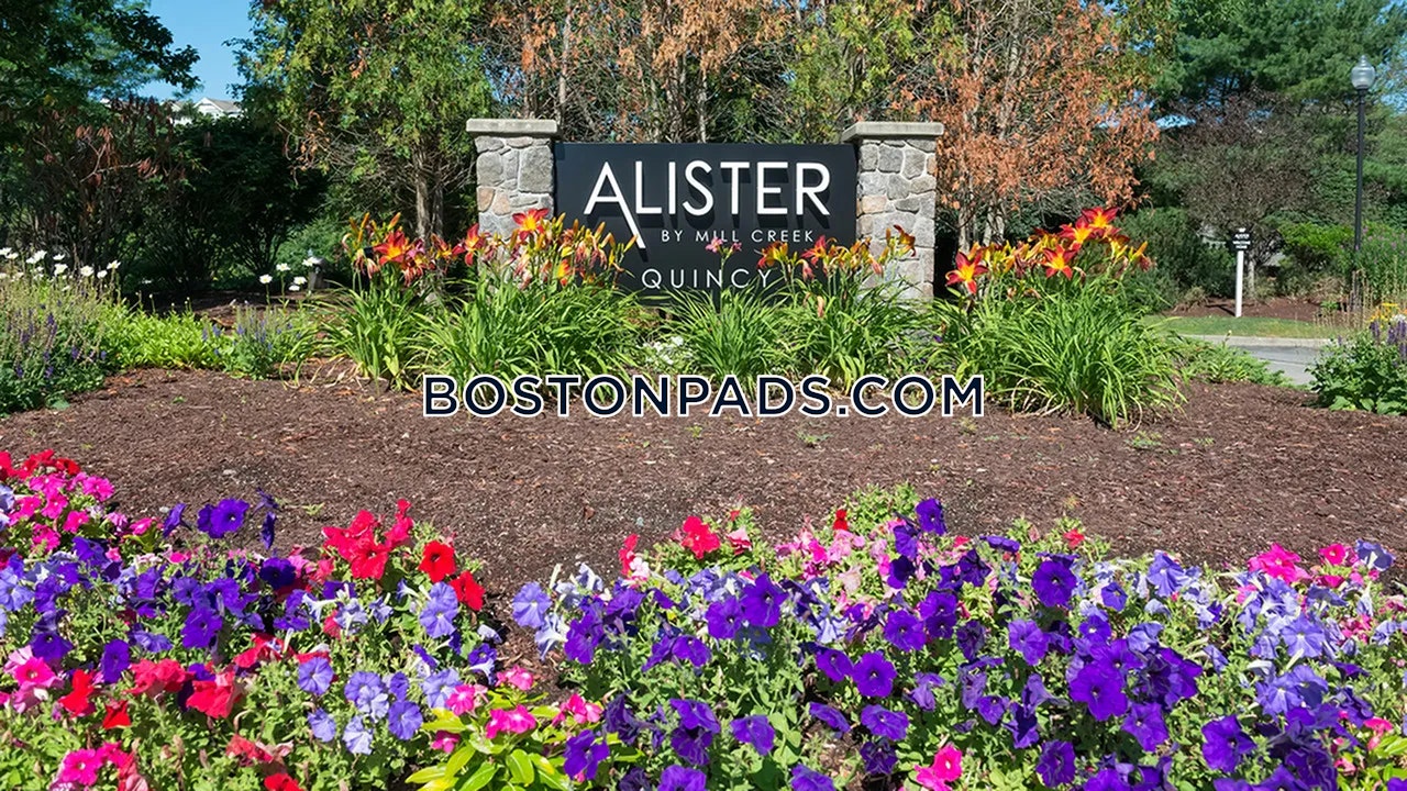 Alister Quincy Photo 26