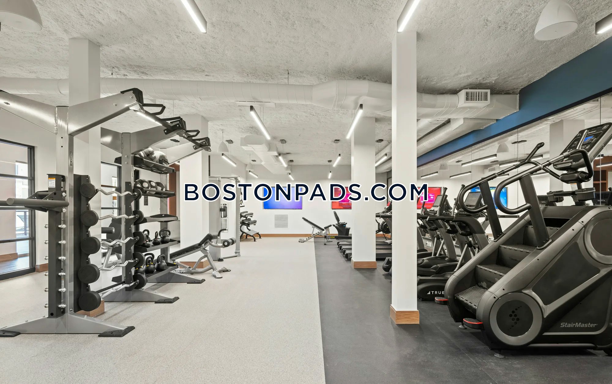 Allee on the Charles Photo 27