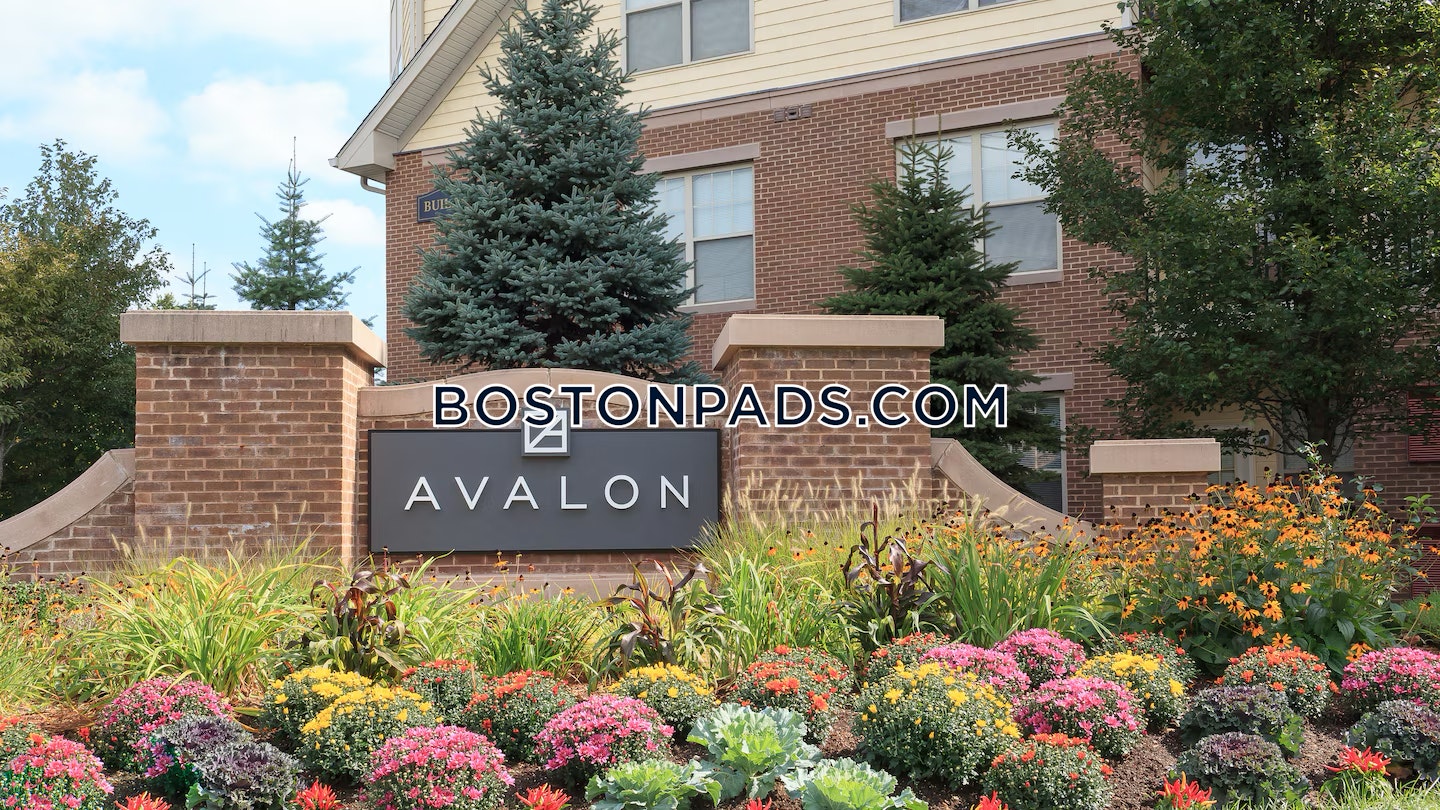 Avalon at Chestnut Hill Photo 11