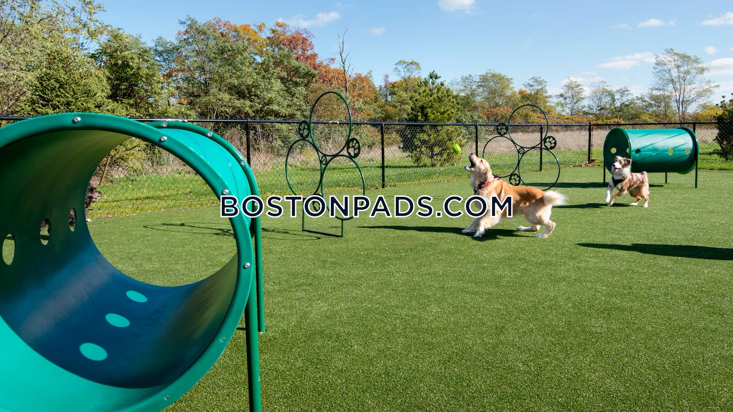 Avalon Quincy Photo 39