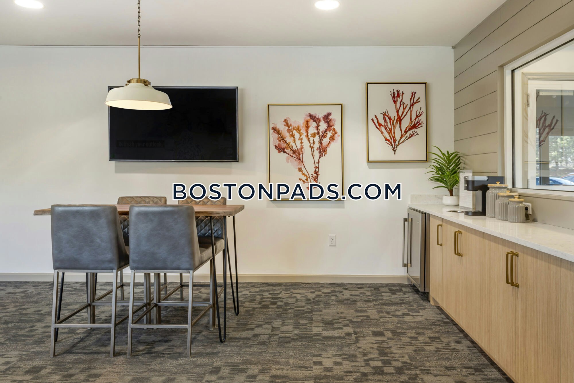 Bell North Shore Photo 18