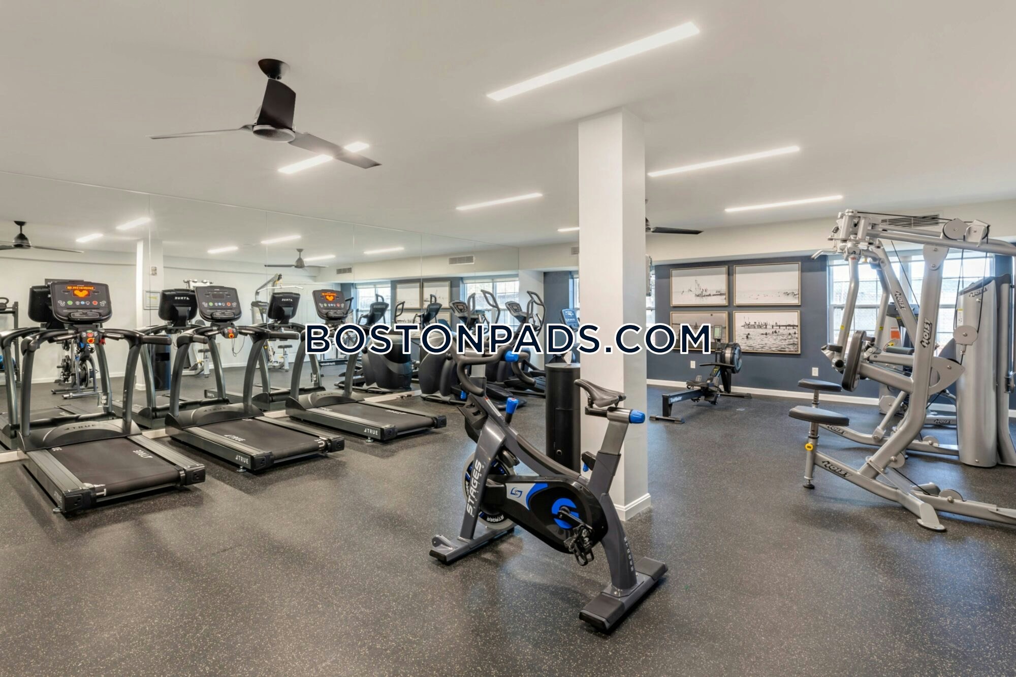 Bell North Shore Photo 1