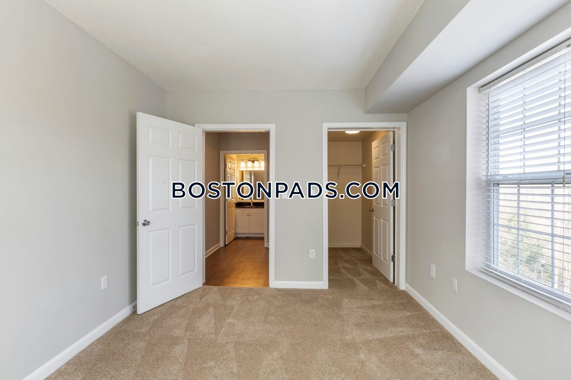 Bell North Shore Photo 28