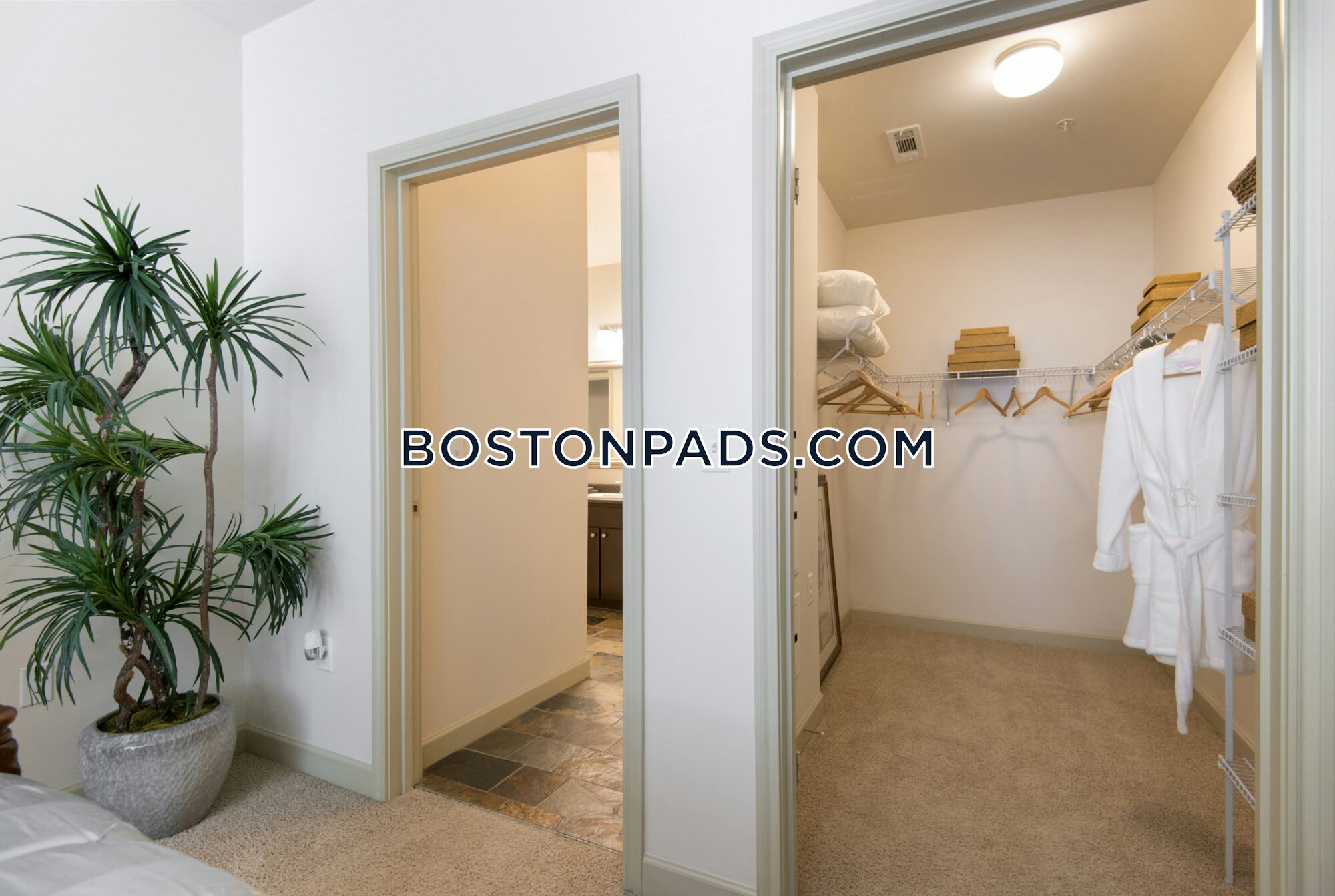 Bell Stoughton Photo 6