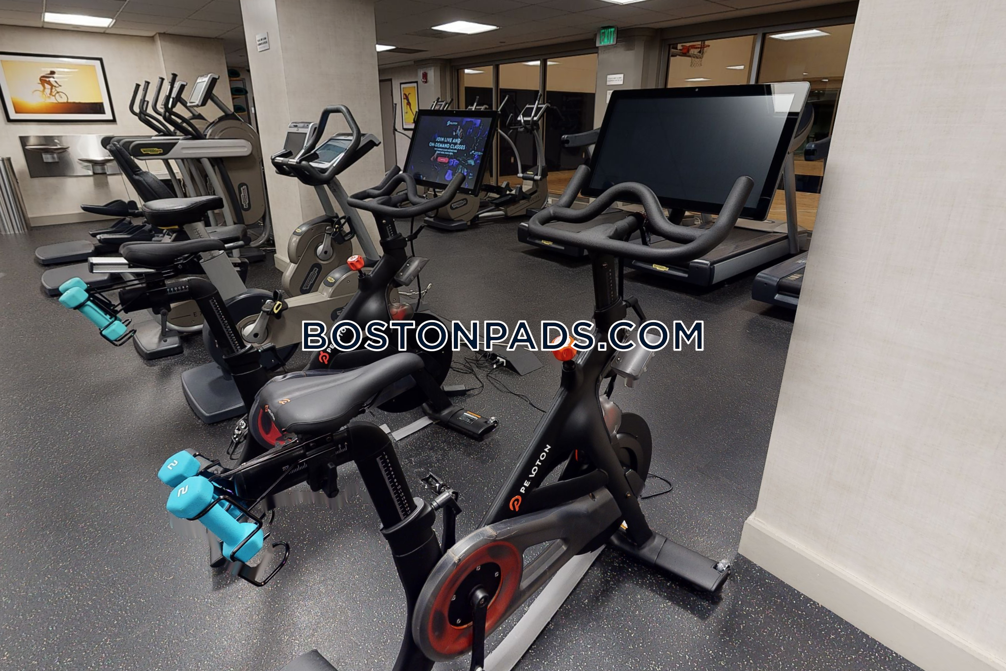 The Arlington Photo 19