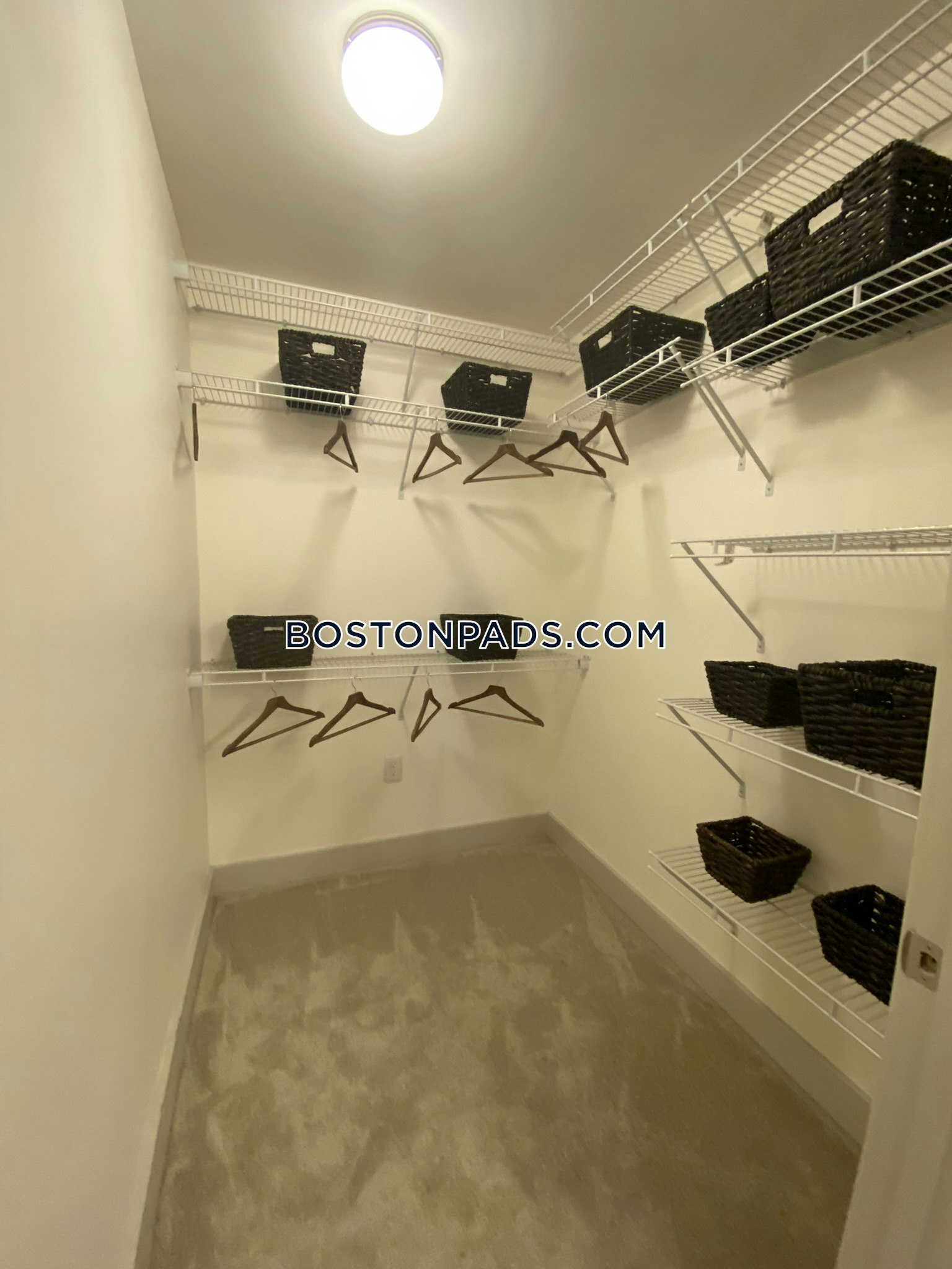 Hanover Alewife Photo 52