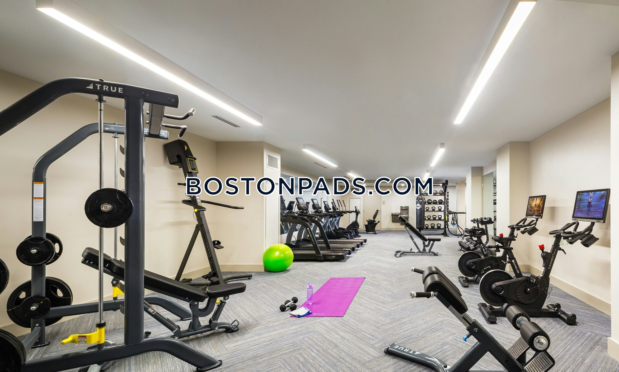 101 Asheville Rd. Photo 18