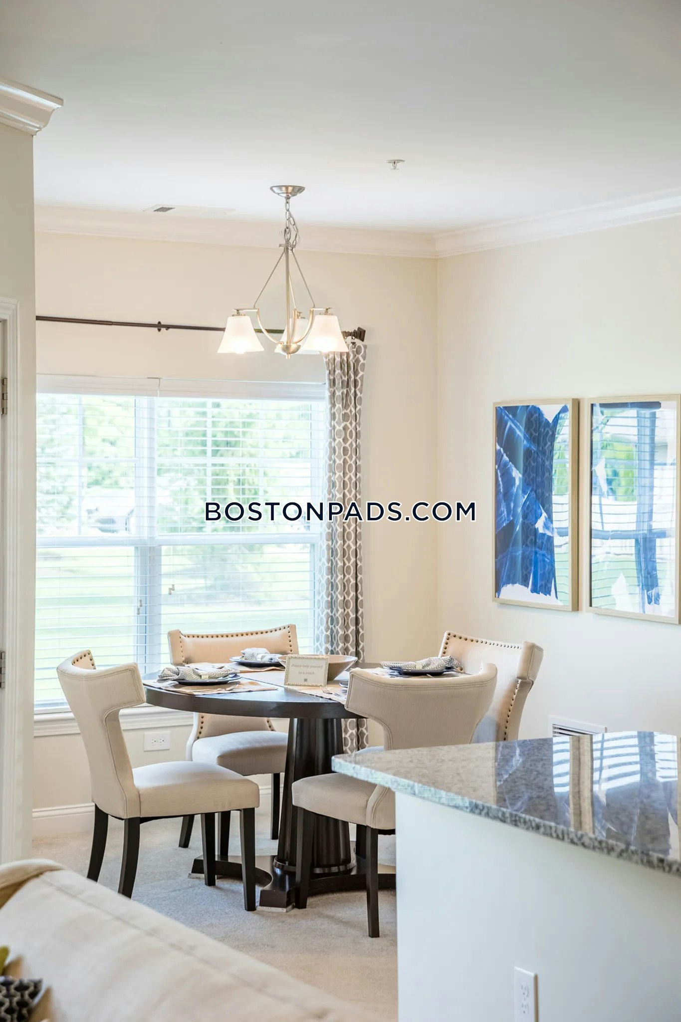 Princeton Westford Photo 28