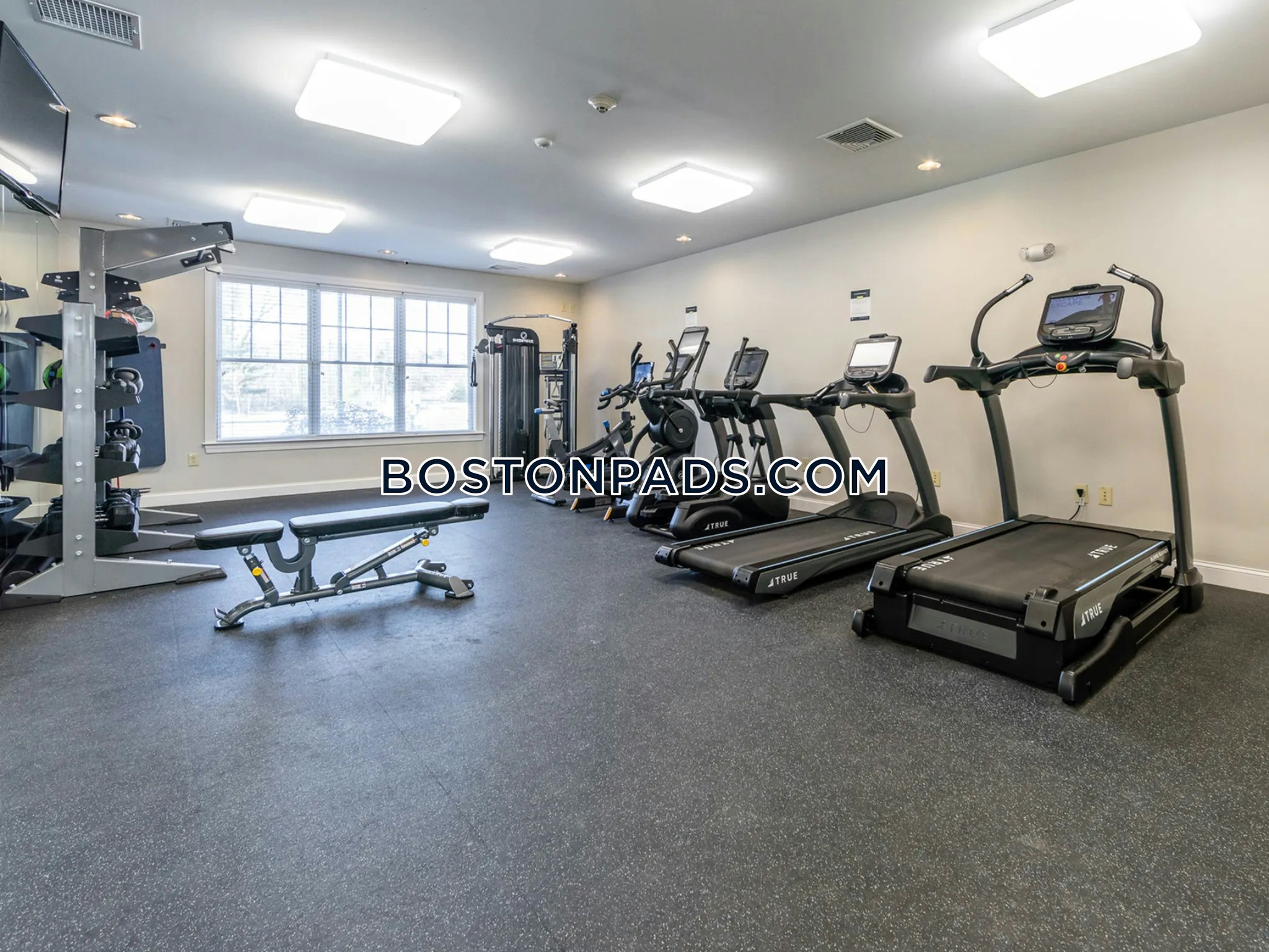 Princeton Westford Photo 18