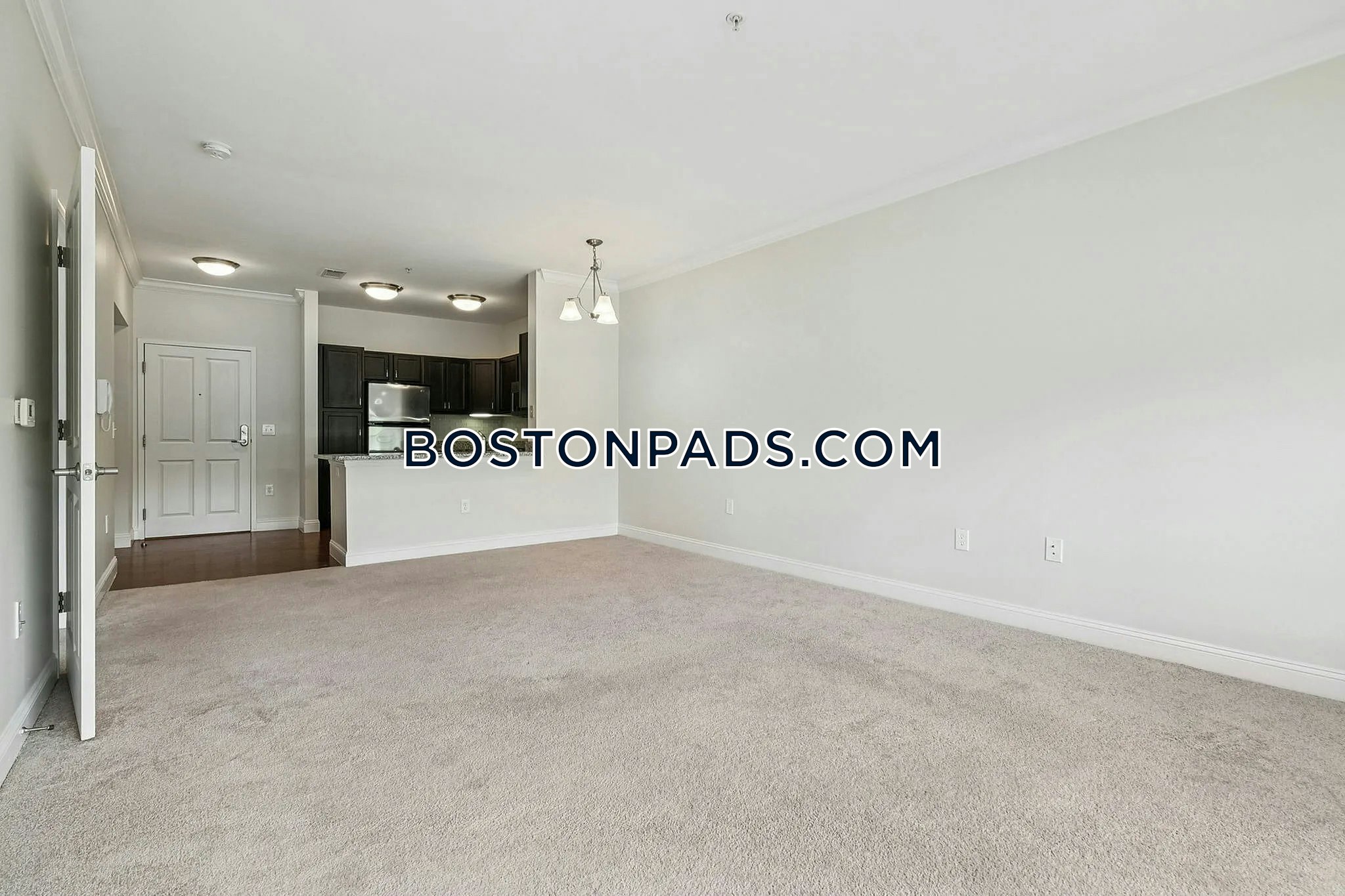 Princeton Westford Photo 70