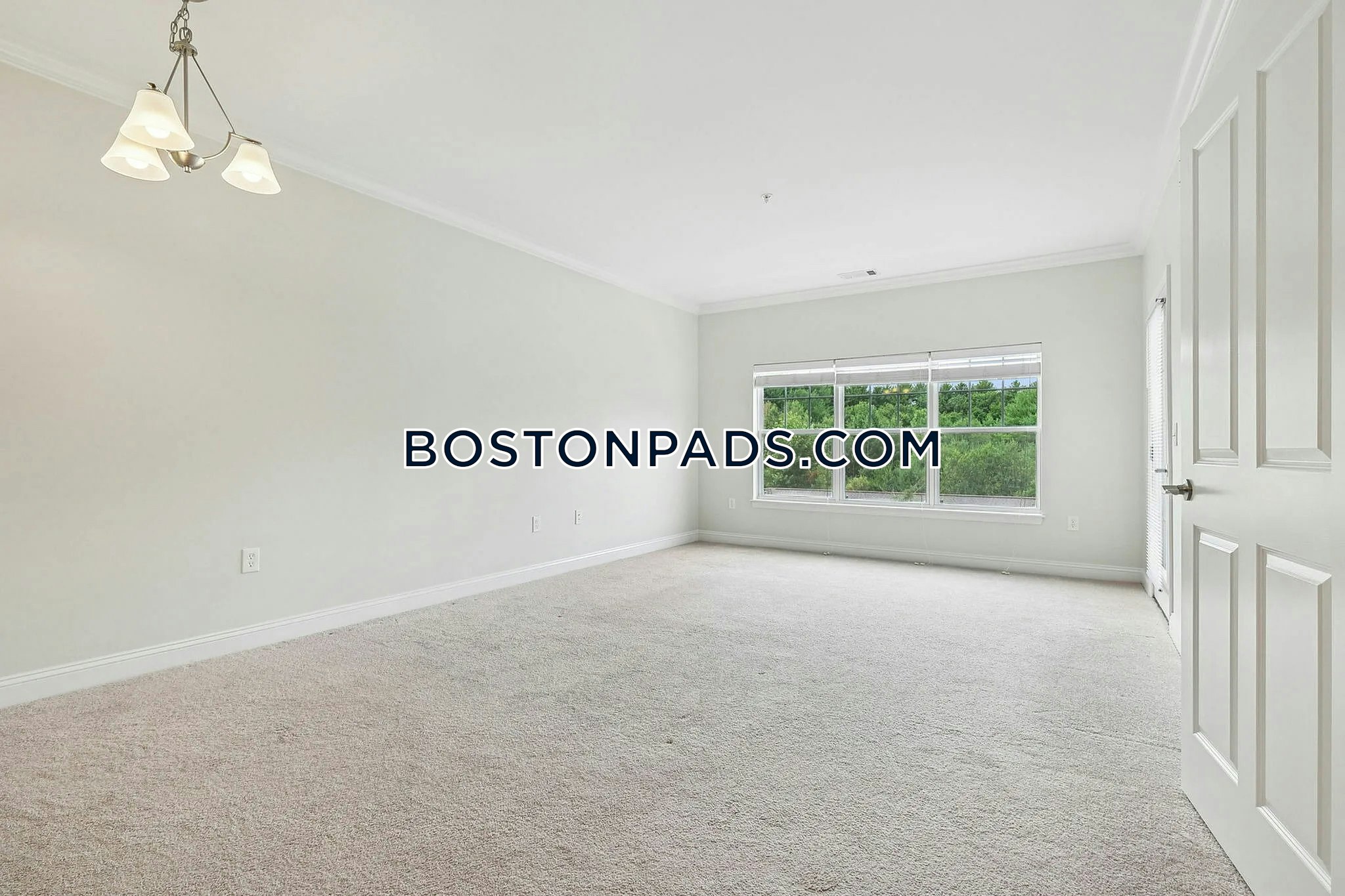 Princeton Westford Photo 16