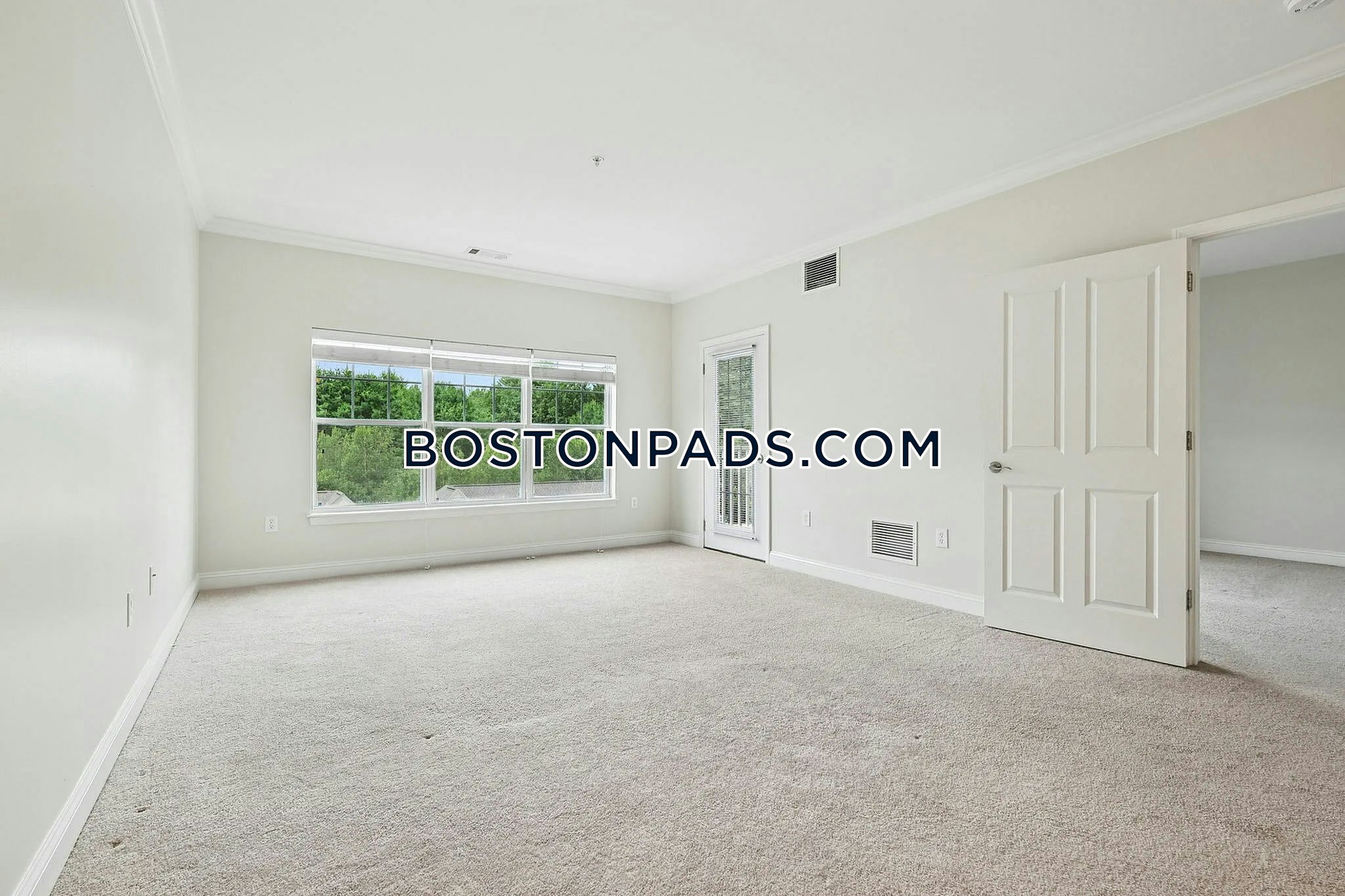 Princeton Westford Photo 15