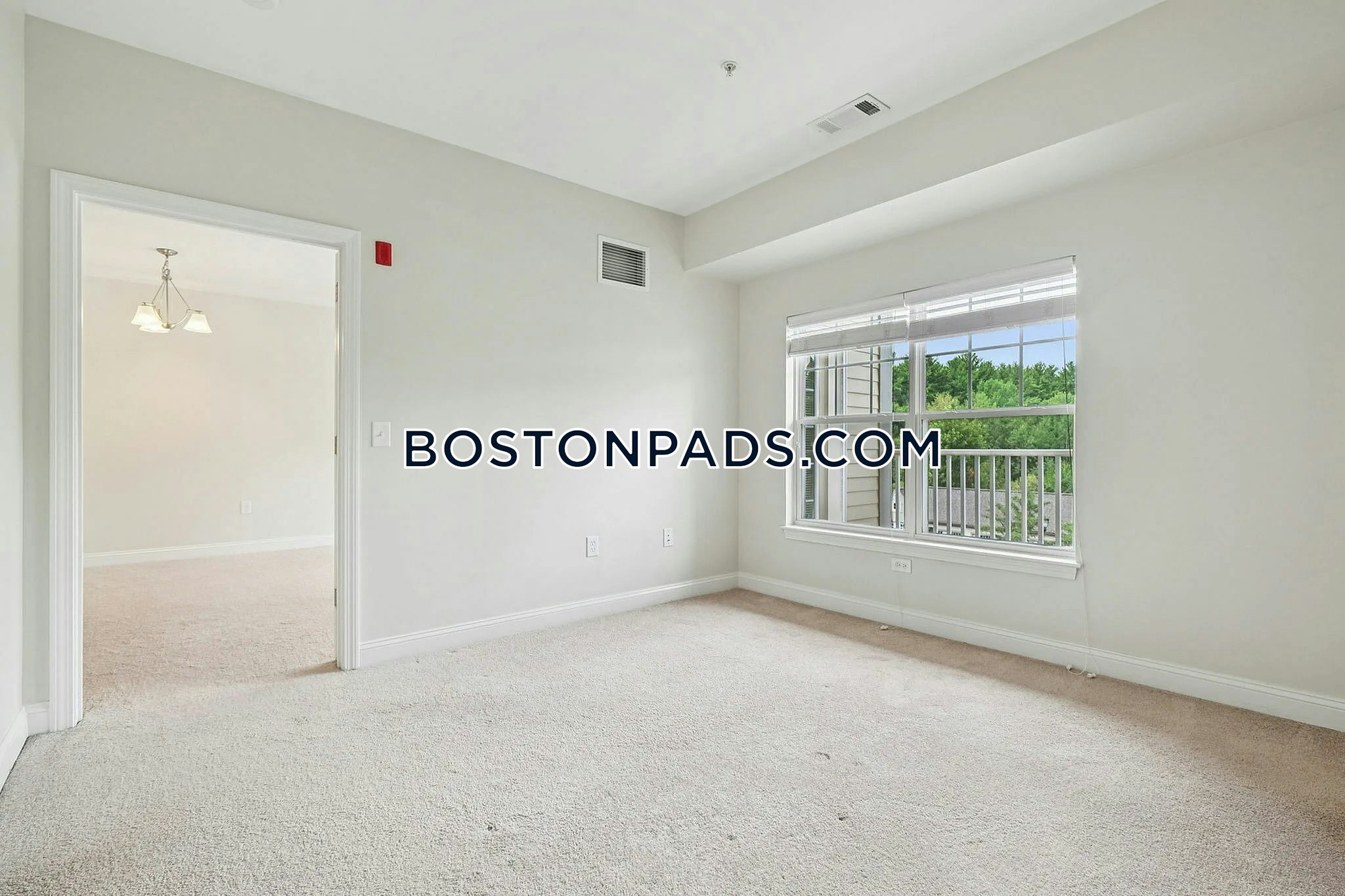 Princeton Westford Photo 22