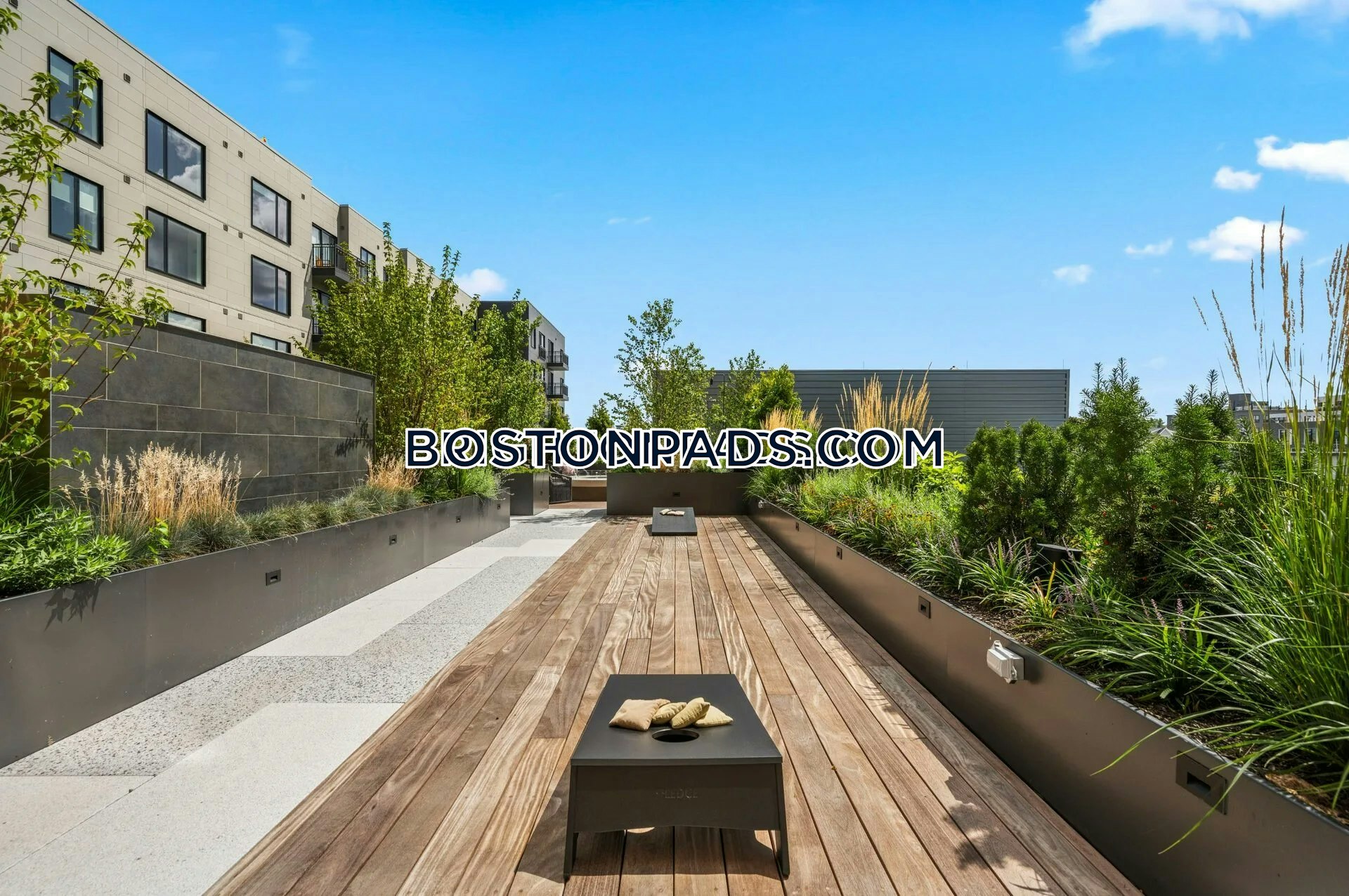 Alder at Allston Yards Photo 18