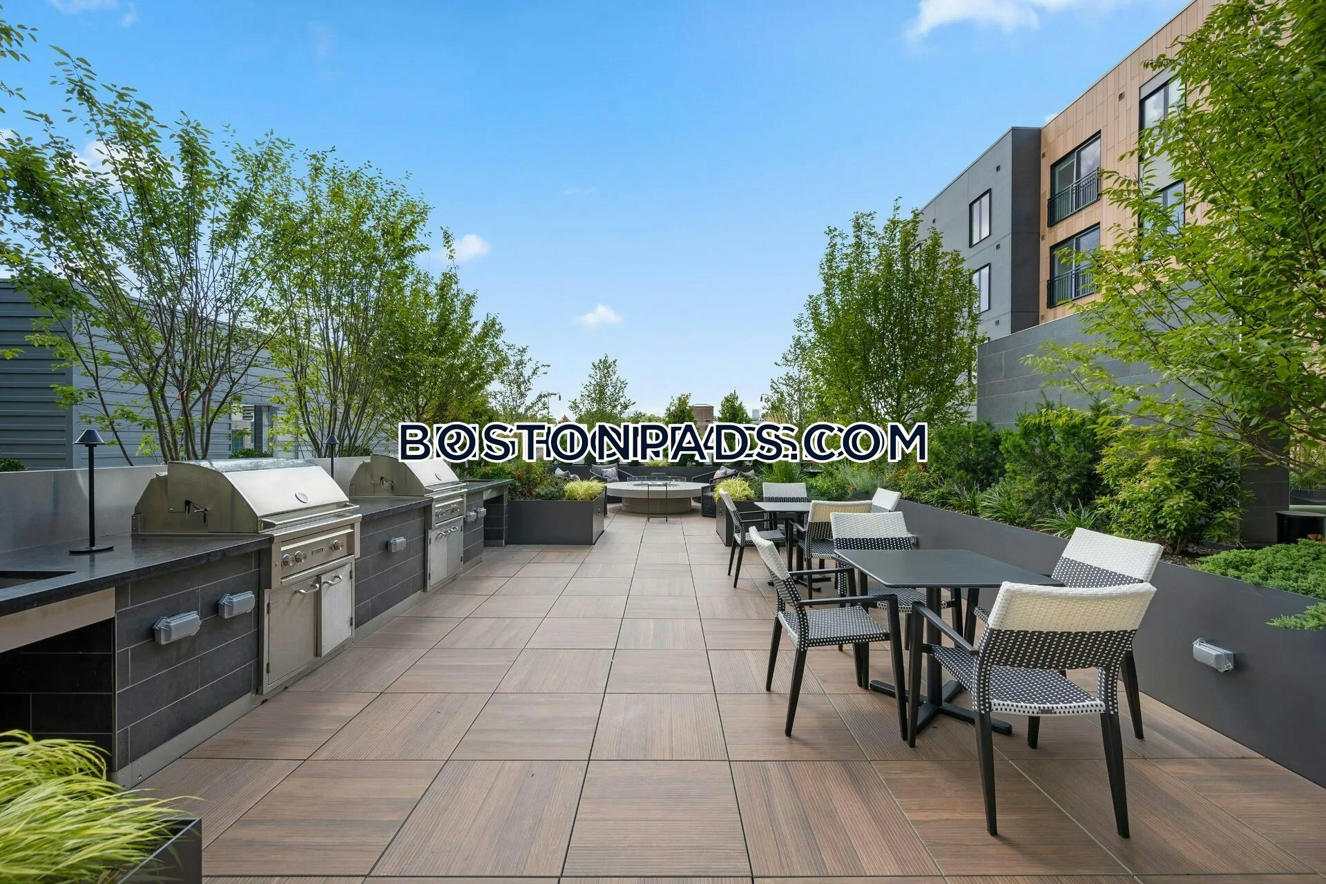 Alder at Allston Yards Photo 12