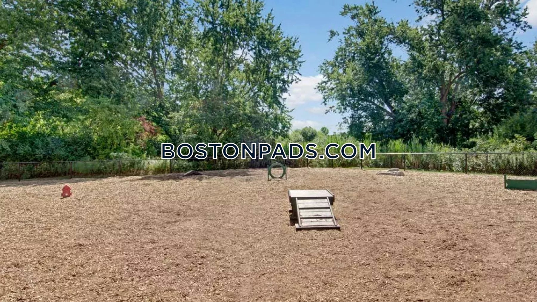 The Royal Belmont Photo 18